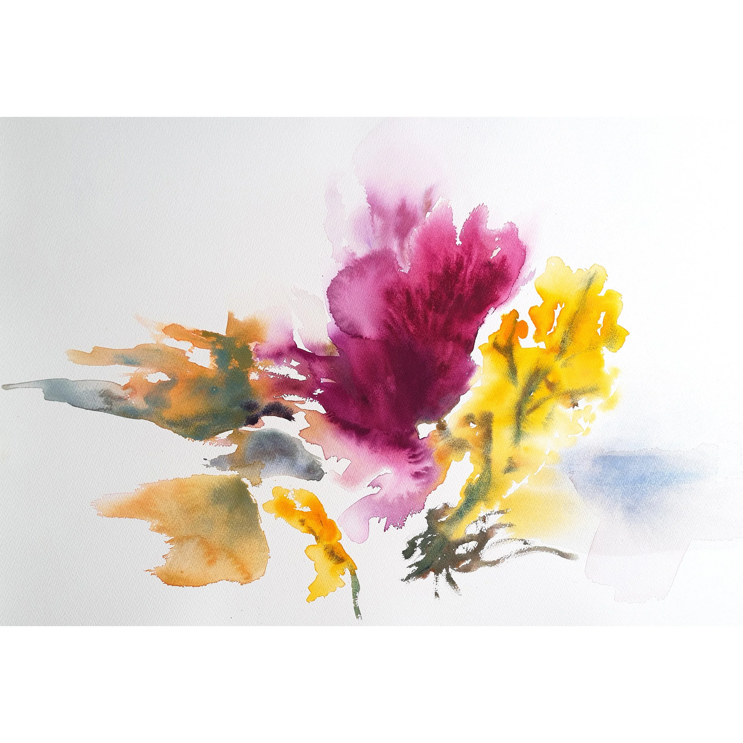 All the Flowers of the Mountain by Jenny Ryrie