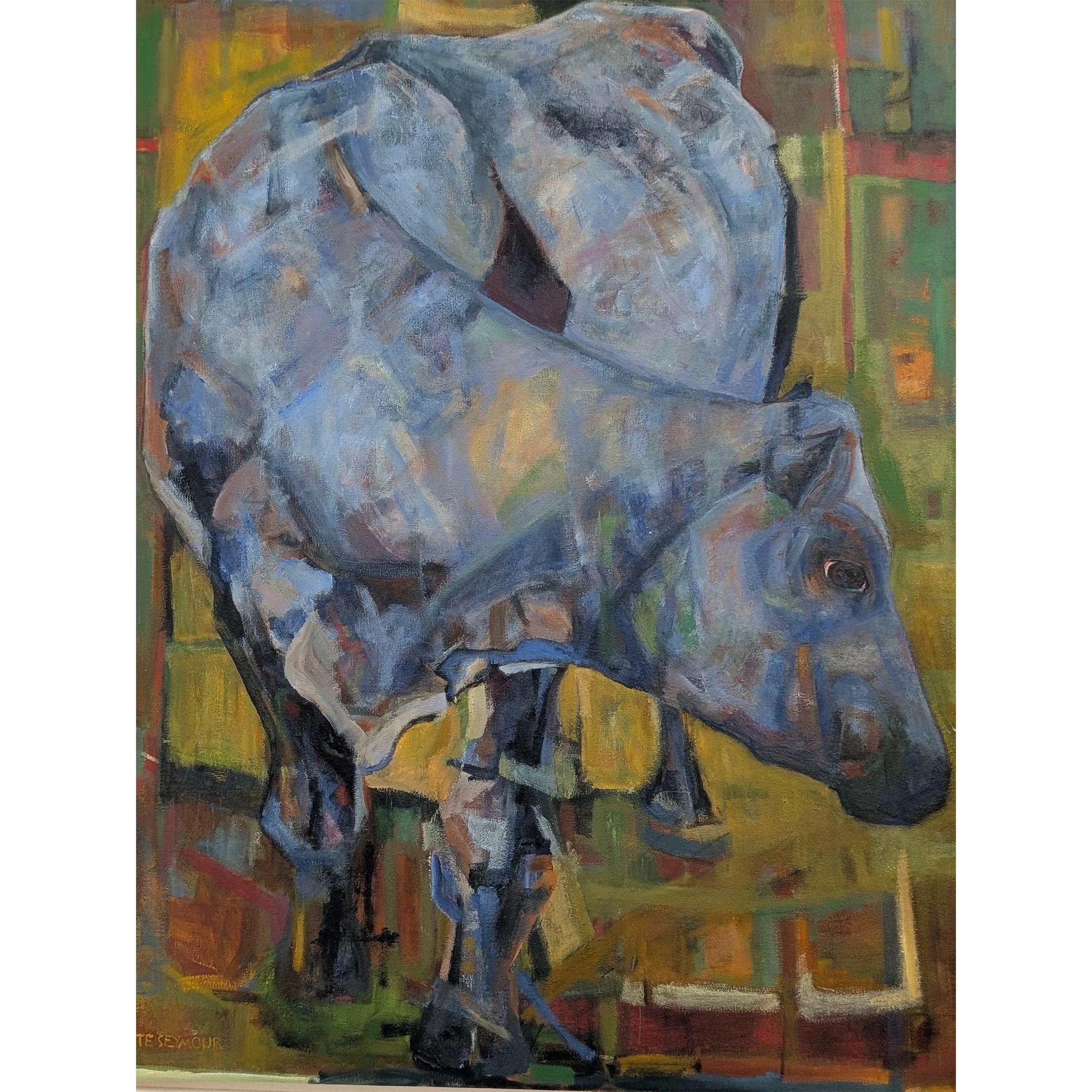 Standing Grey Cow.jpg