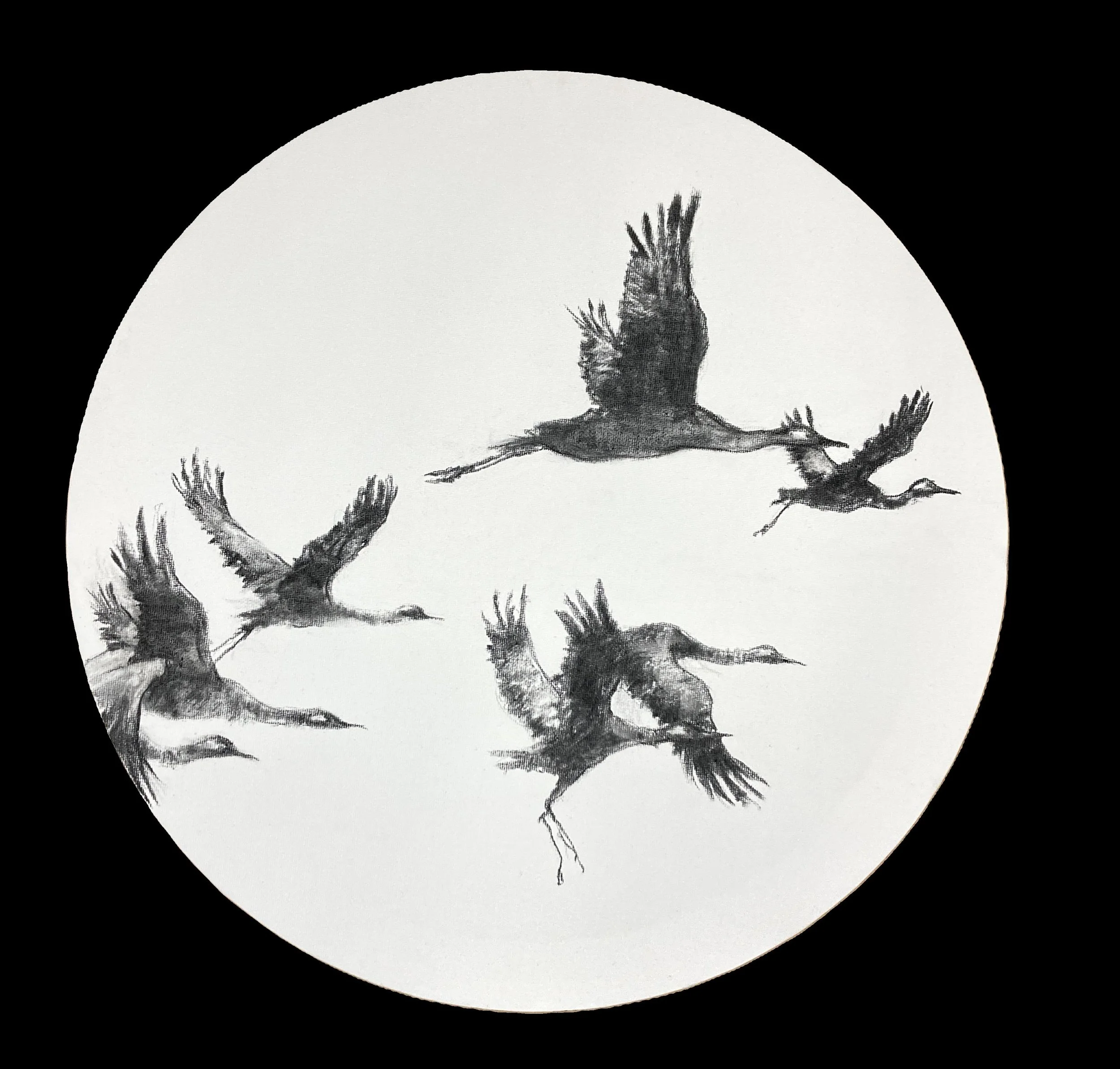 Migration Kim HG .JPG