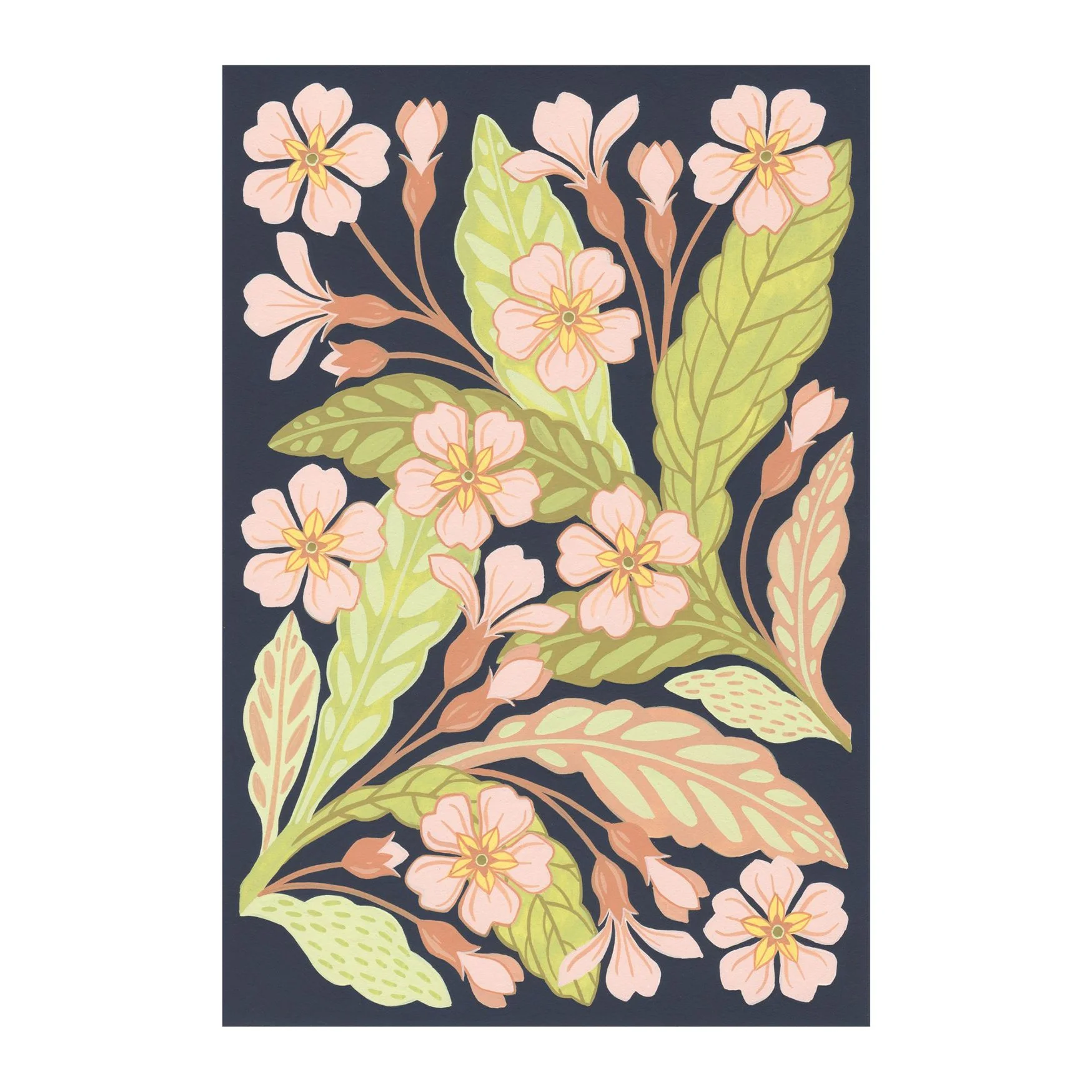 PINK PRIMROSE COPY.jpg