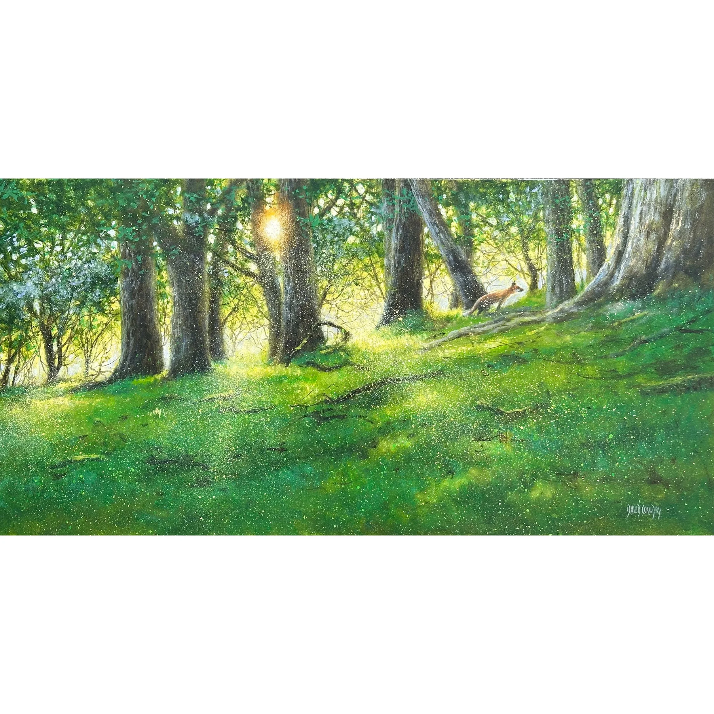 Evening Forest, Fox Cub by David Cowdry