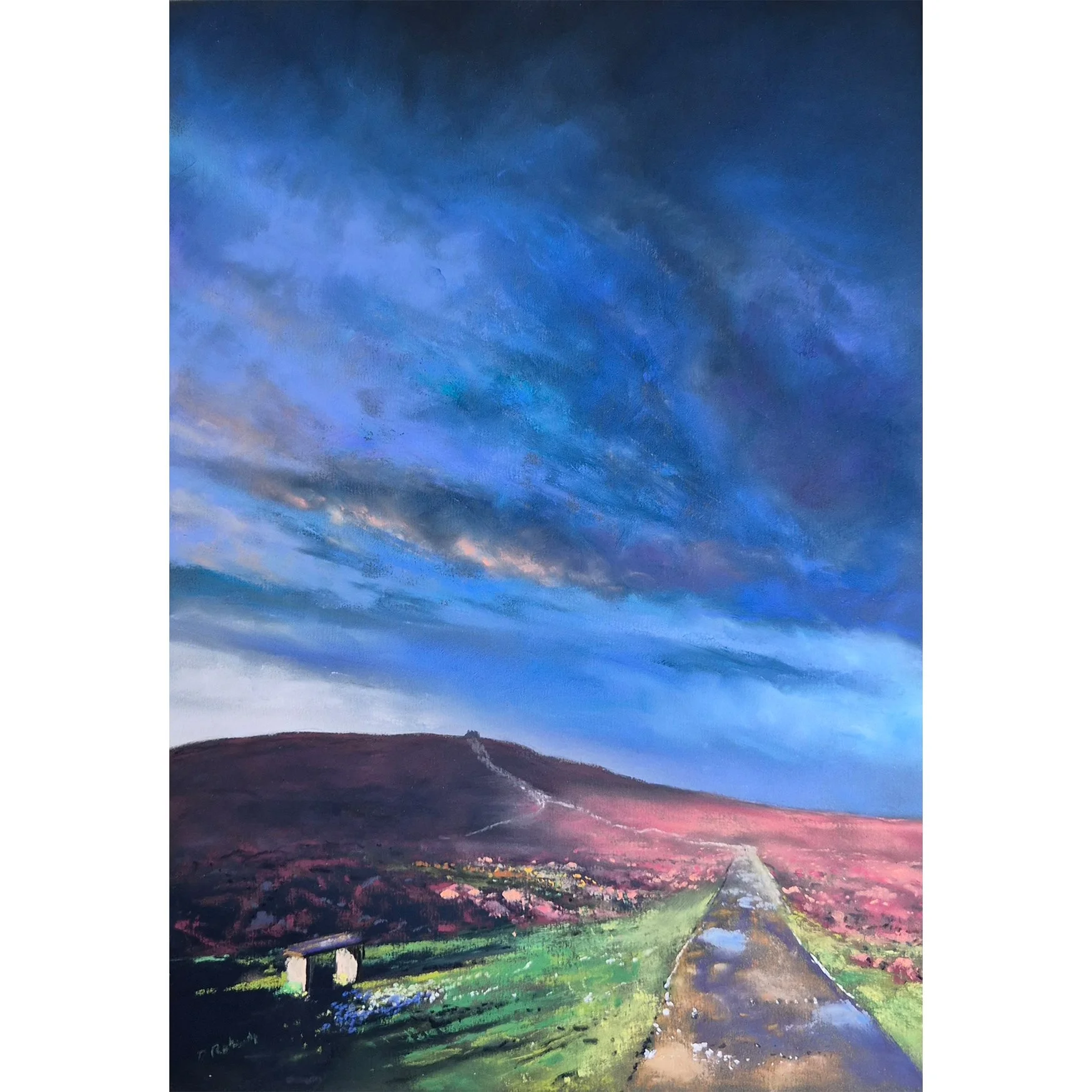 Evening Walk, Moel Famau.jpg