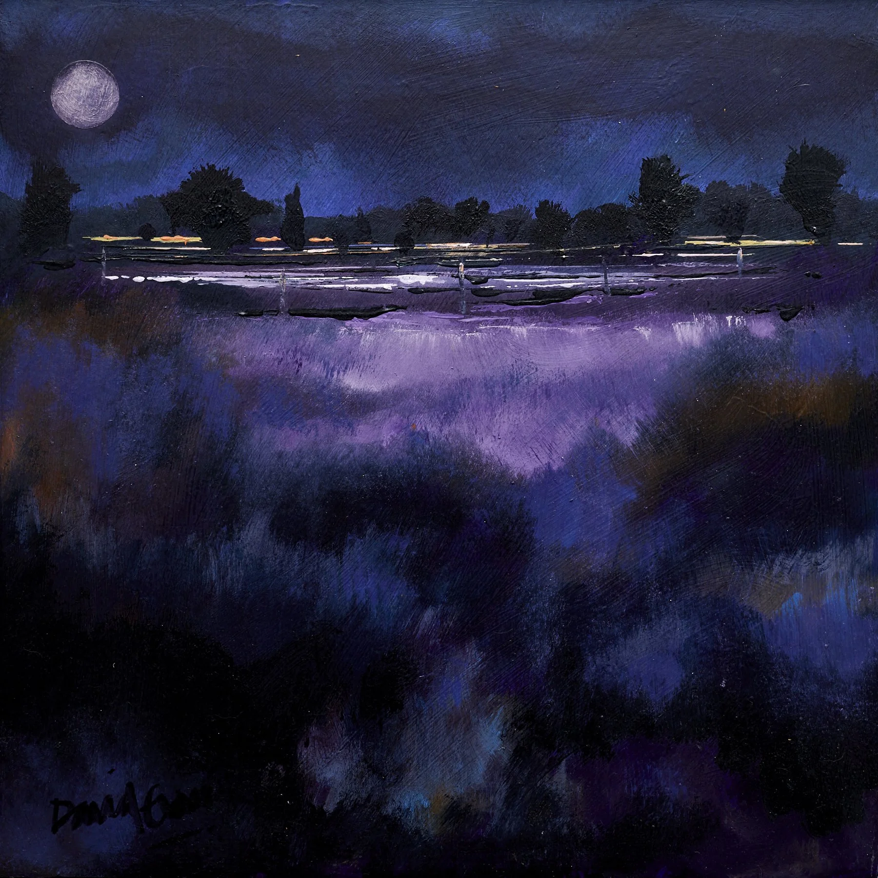 Marginal Moon by David Evans