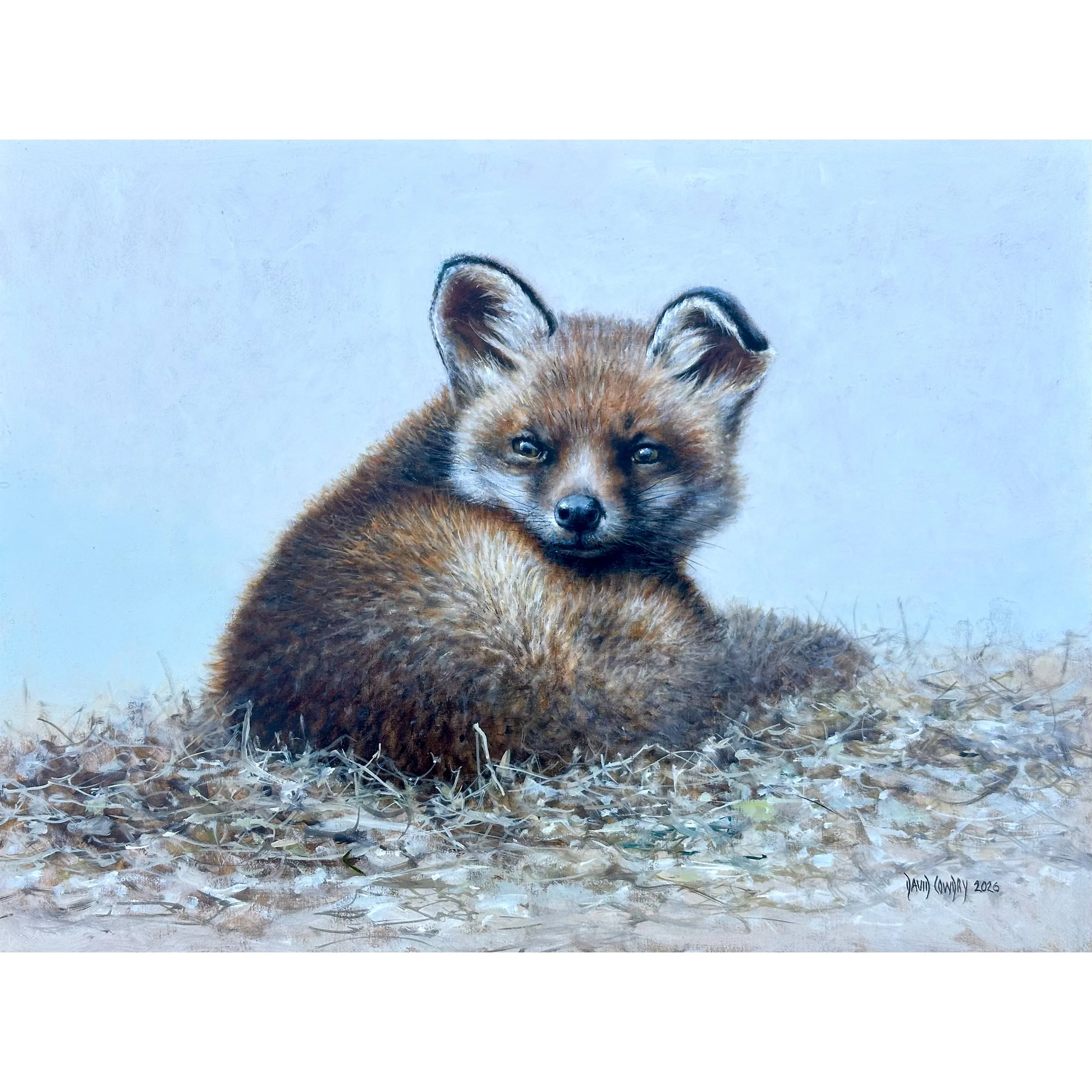 Fox Cub, Runt of the Litter by David Cowdry