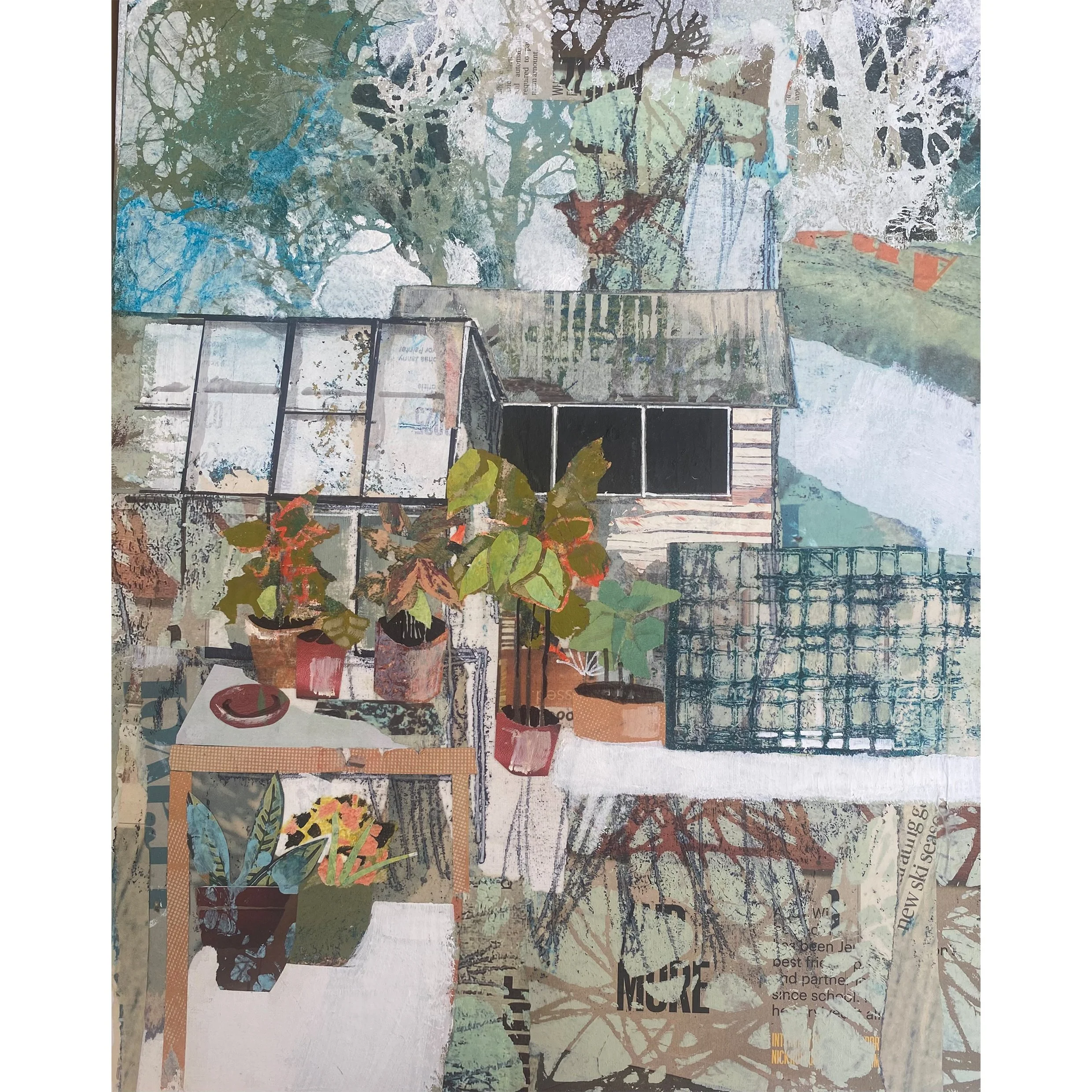 The Allotment by Ronnie Drillsma