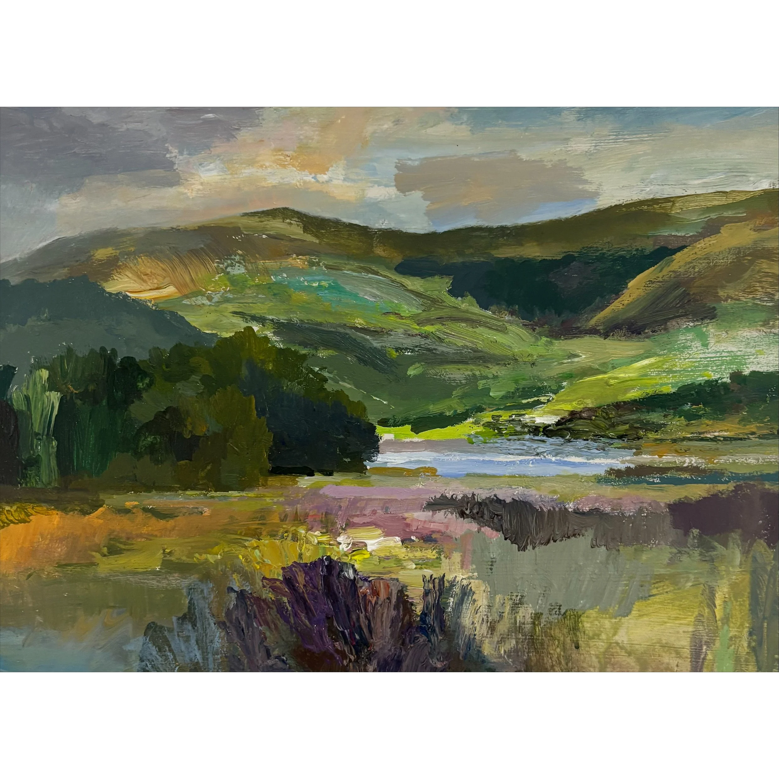 Dyfi Estuary by Karen Pearce