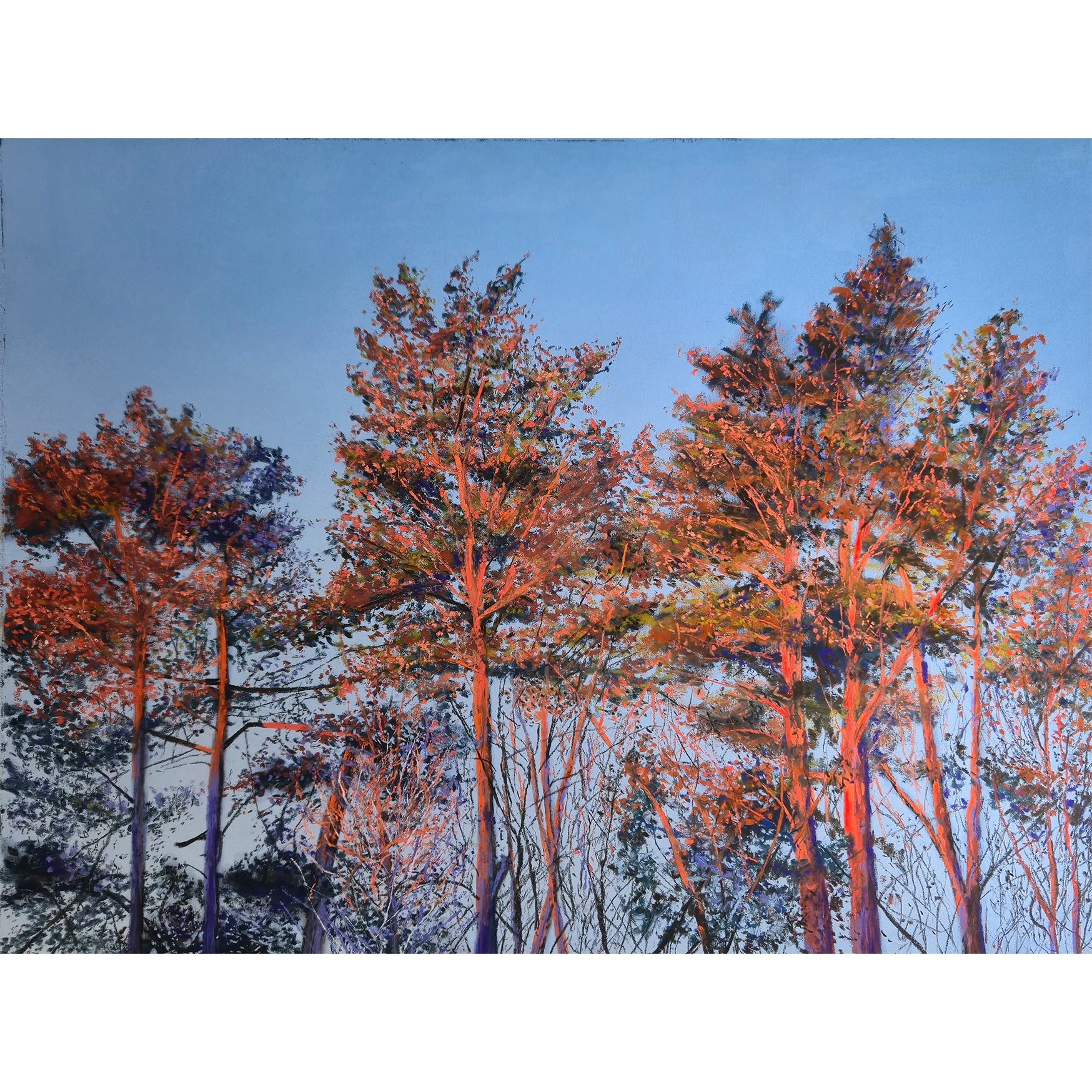 Catching the Sunset.jpg