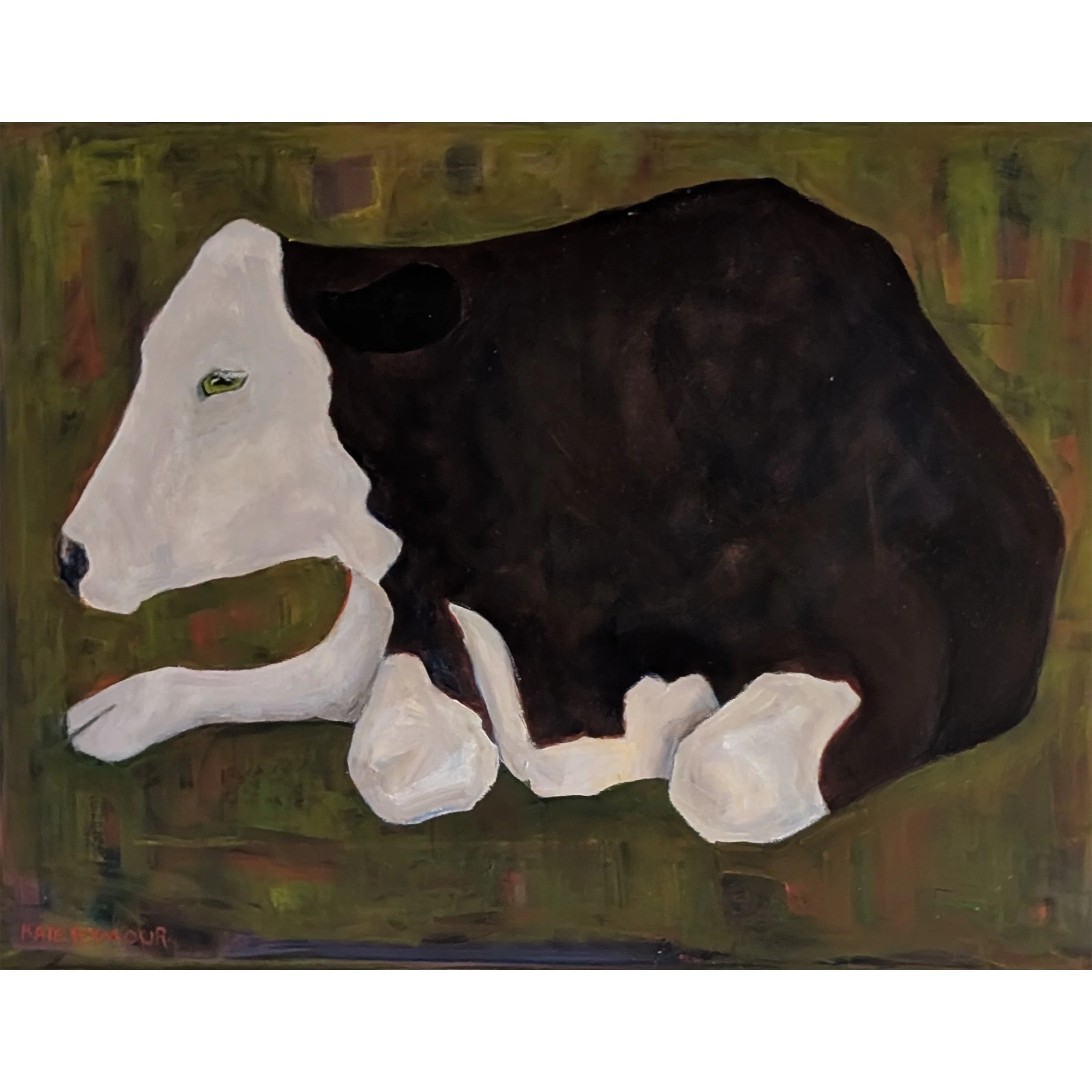 Black White-Faced Cow.jpg