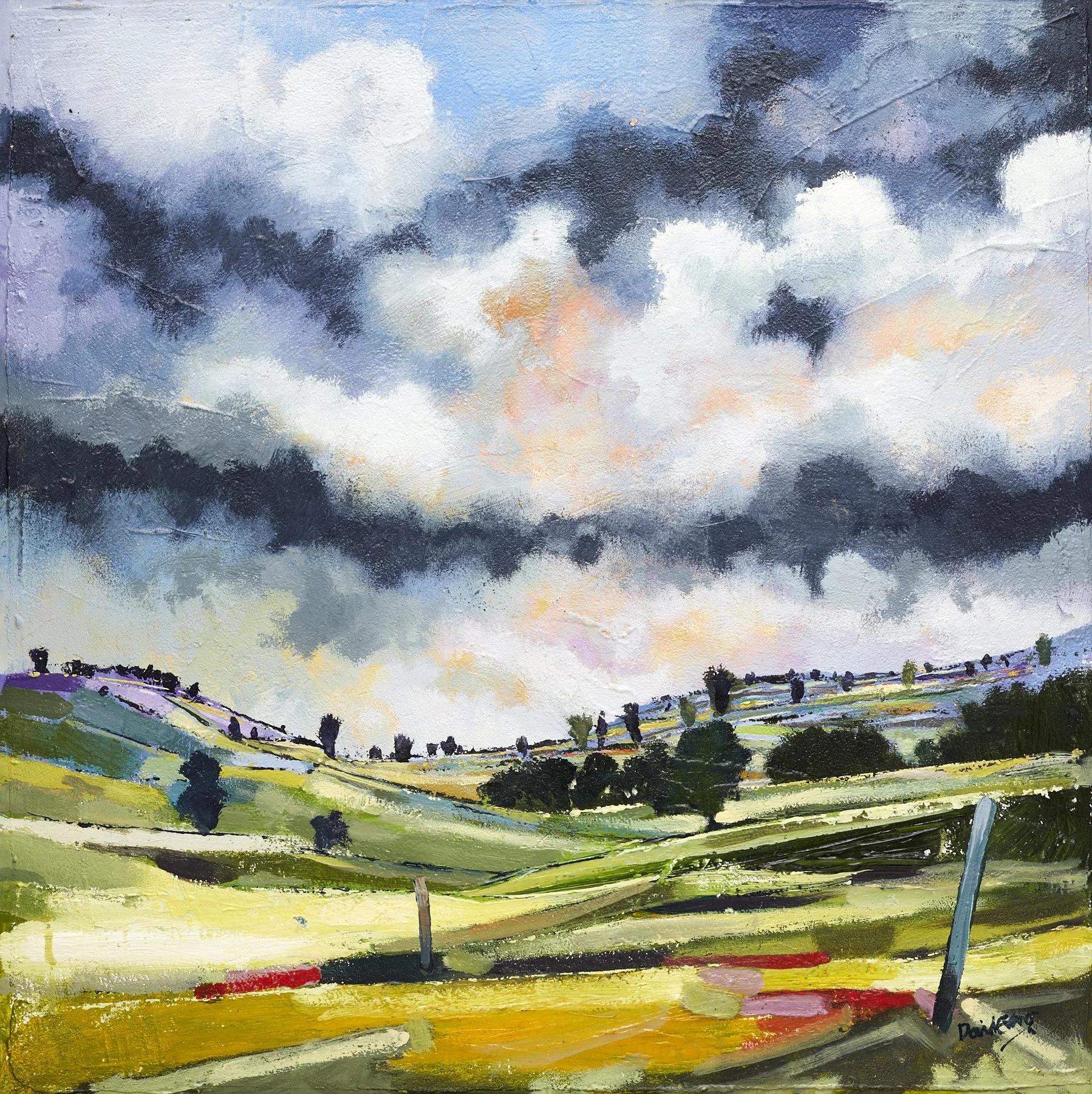 Land That Slopes by David Evans