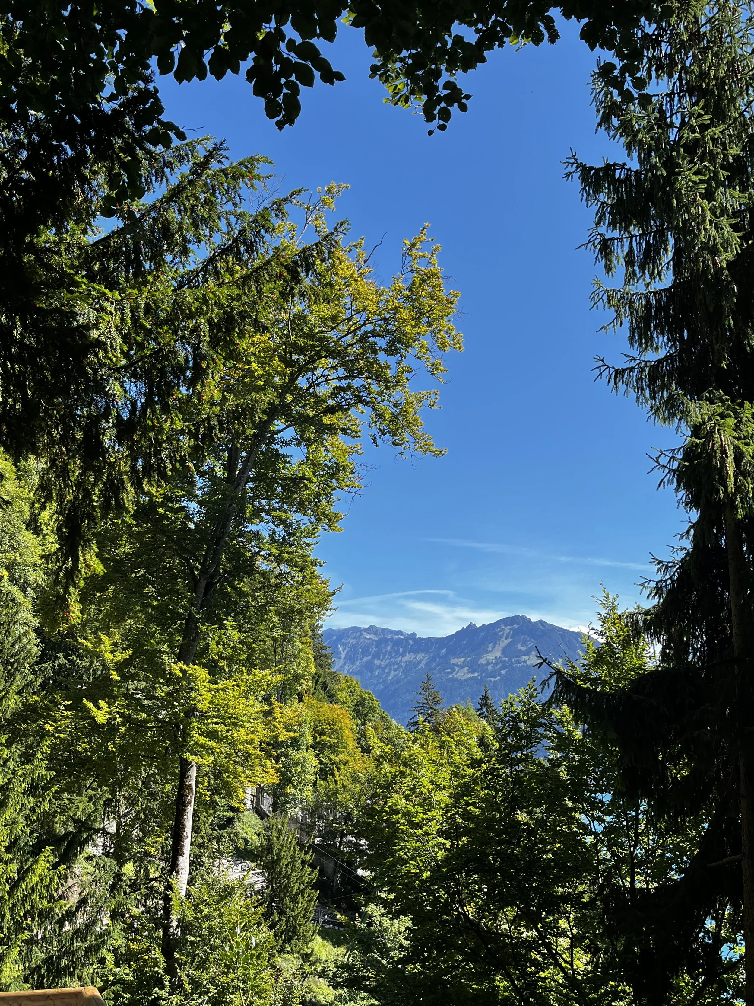 Newsletter 2025 / 3