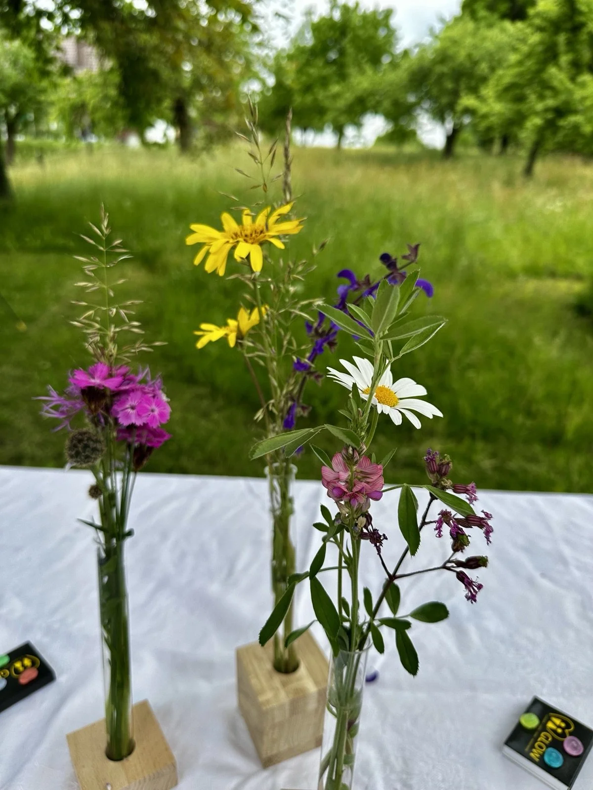 Newsletter 2026 / 3 