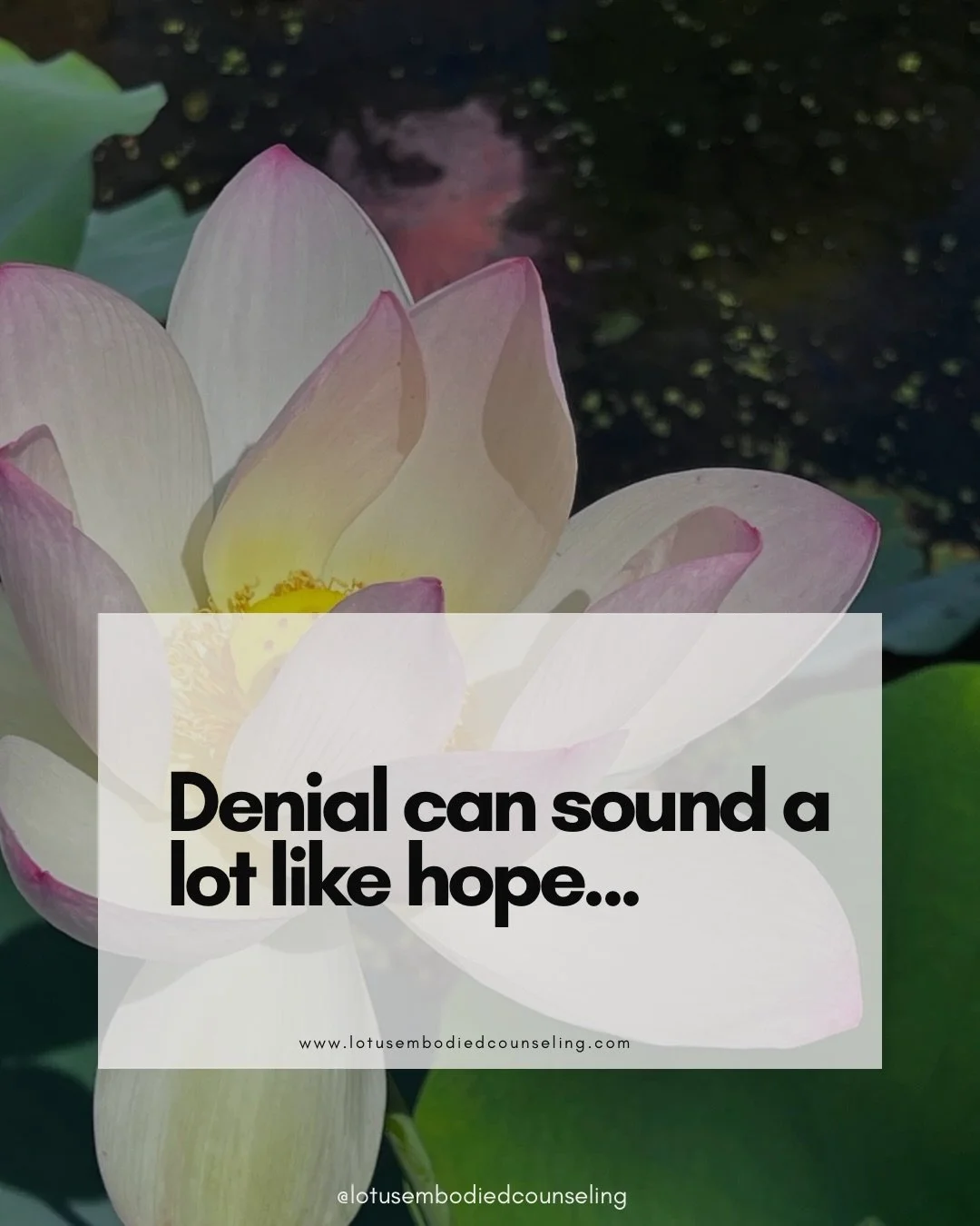 Some forms of hope are actually more harmful.

Hope that they&rsquo;ll finally understand.
Hope that this version of them is the &ldquo;real&rdquo; one.
Hope that if you stay, love harder, explain better, something will shift.

That hope made sense o