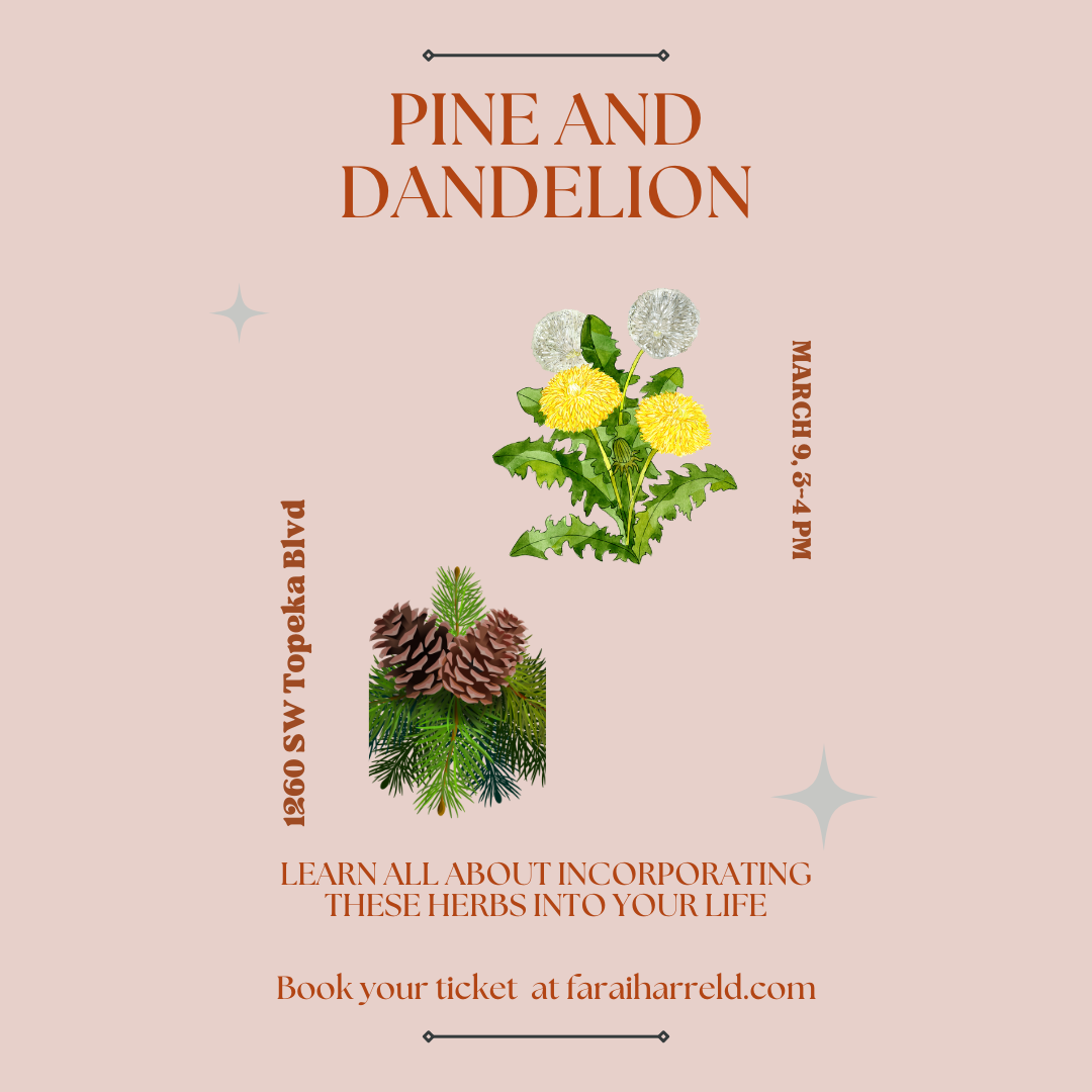 PINE AND DANDELION IN PERSON CLASS