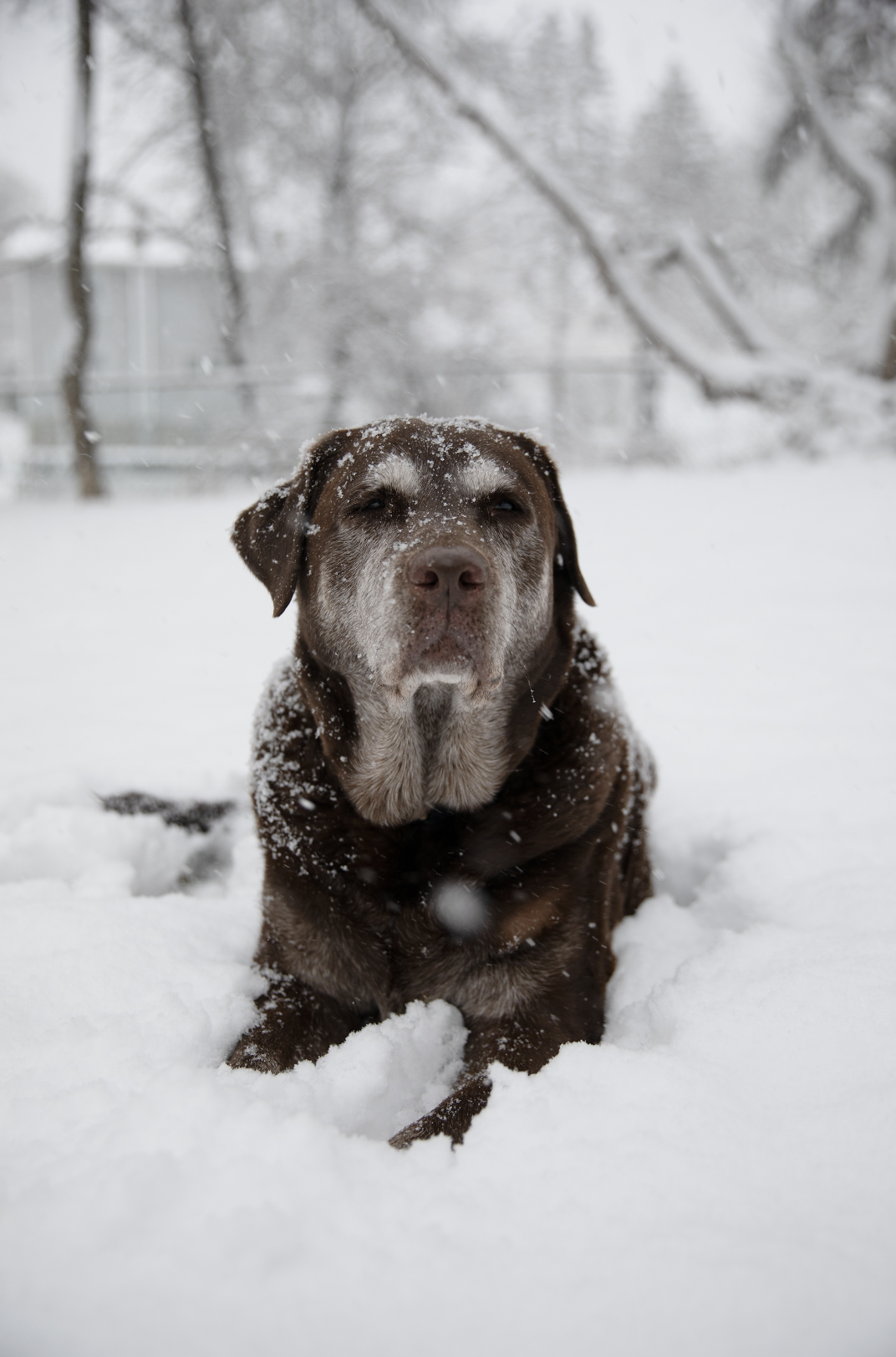 Screenshot 2026-01-03 at 6.50.49 PM.png