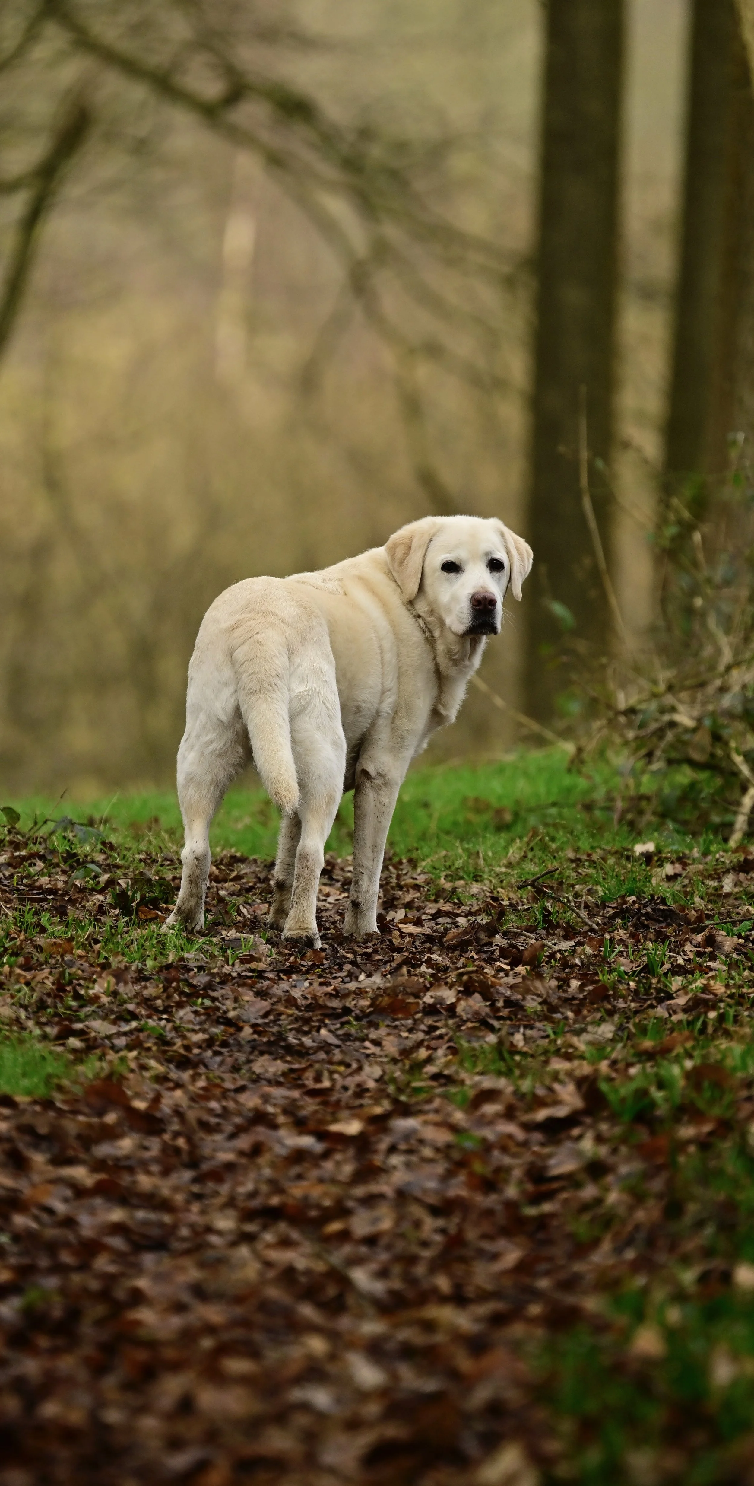 _DSC2808.jpeg