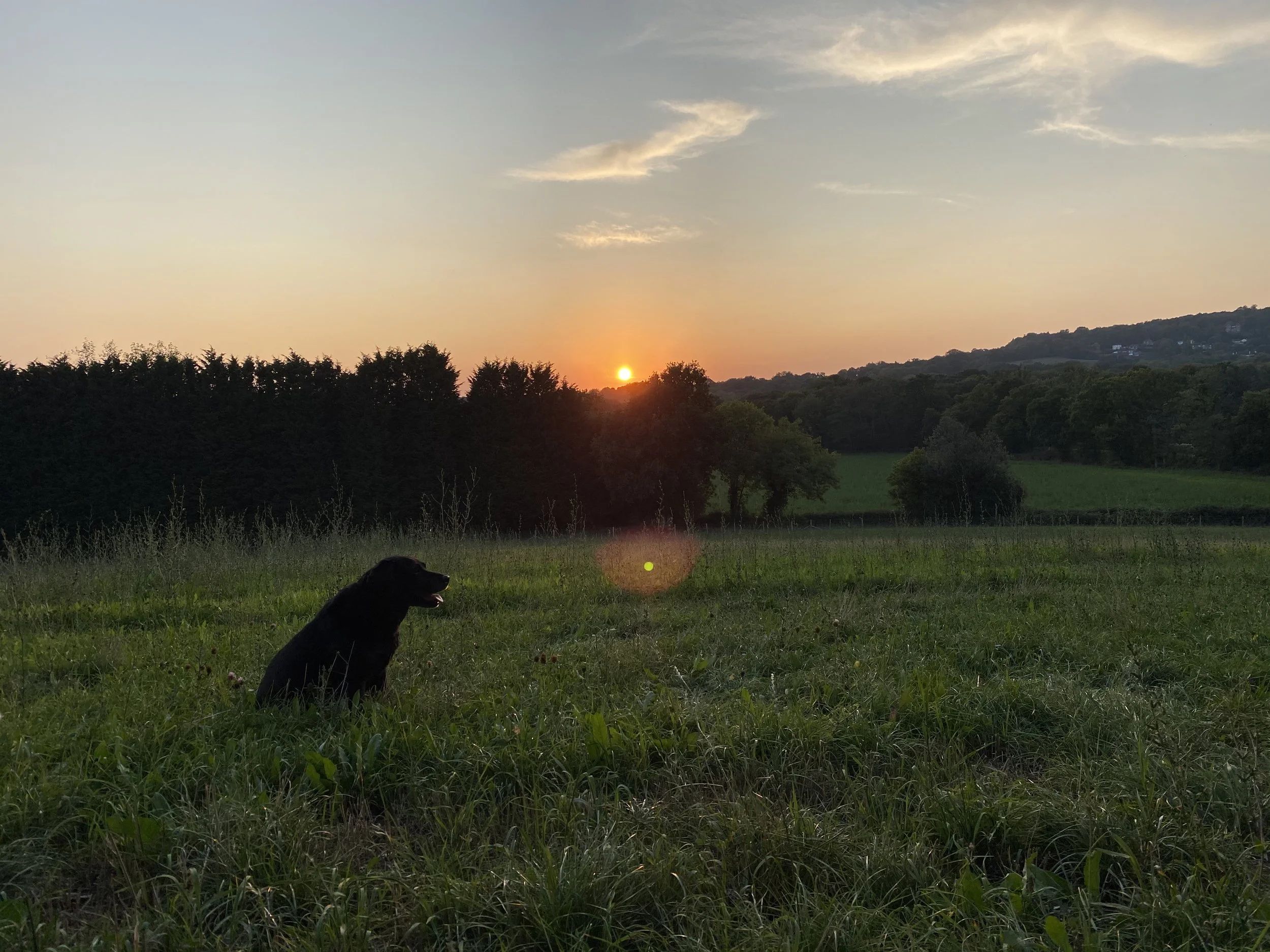 IMG_4691.jpeg
