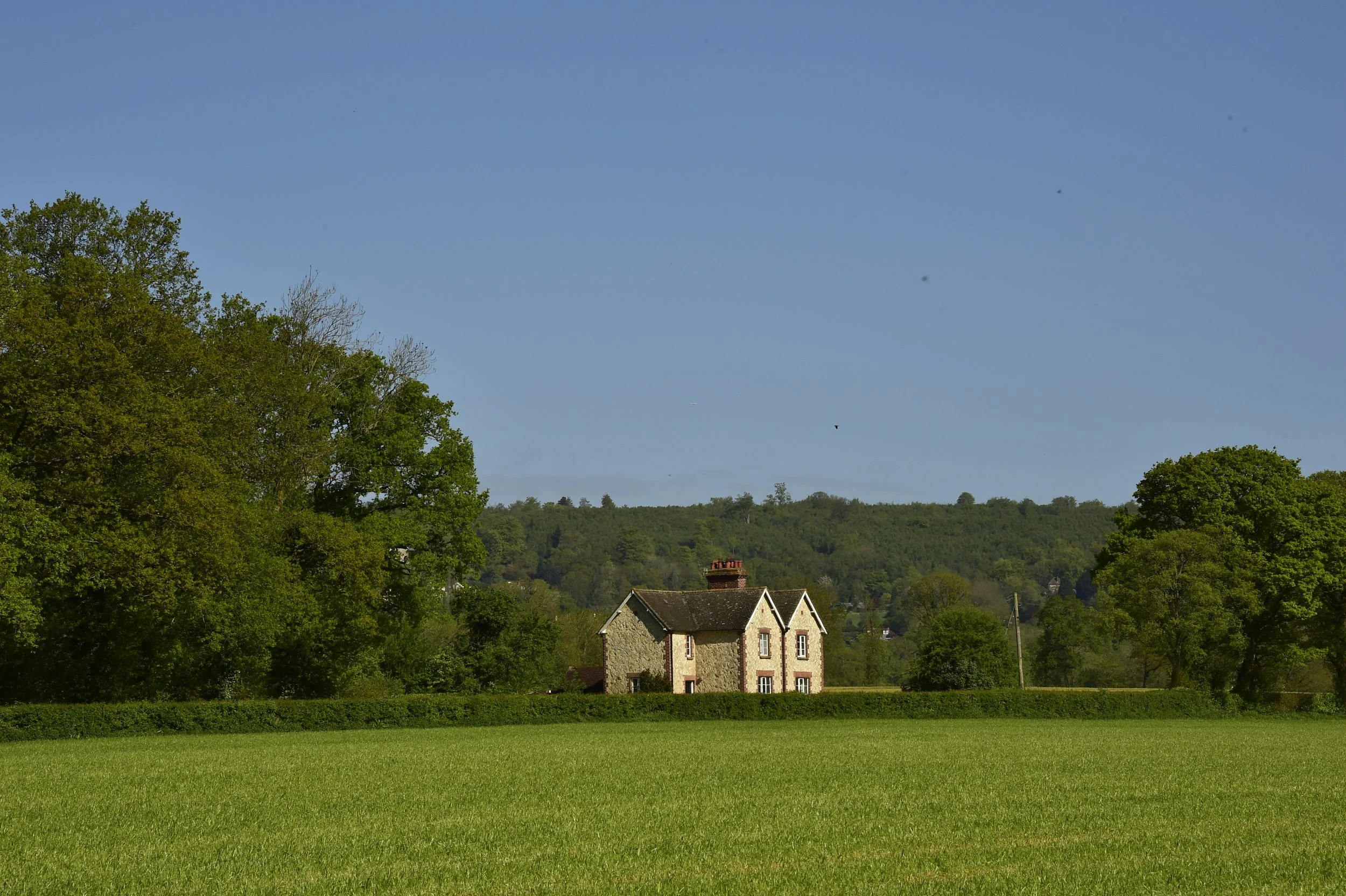 _DSC1405.JPG
