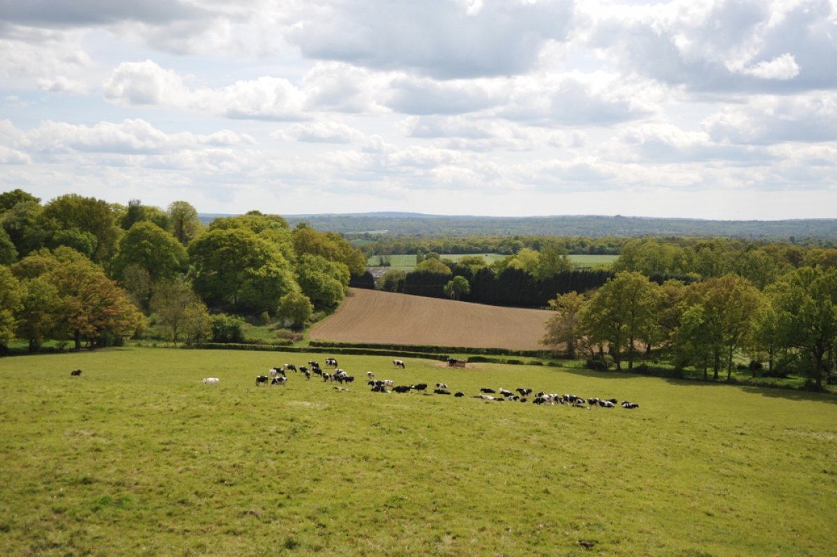The farm and view from Rough Banks field_DSC_0135.jpeg