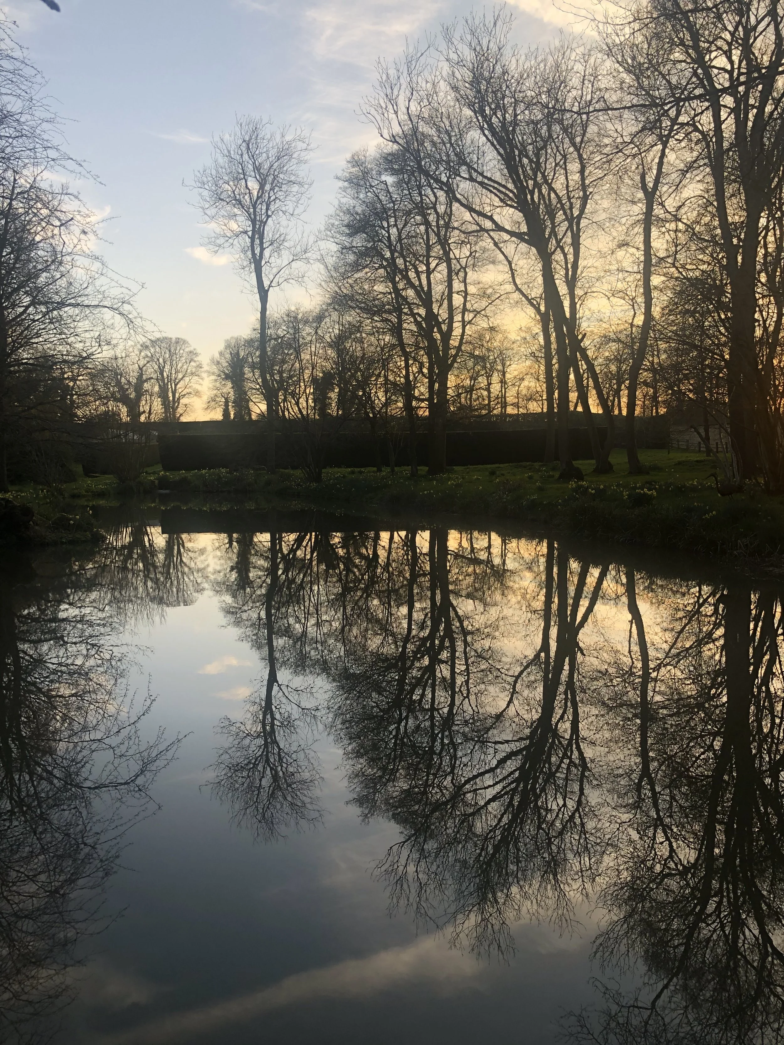 IMG_3948.jpeg