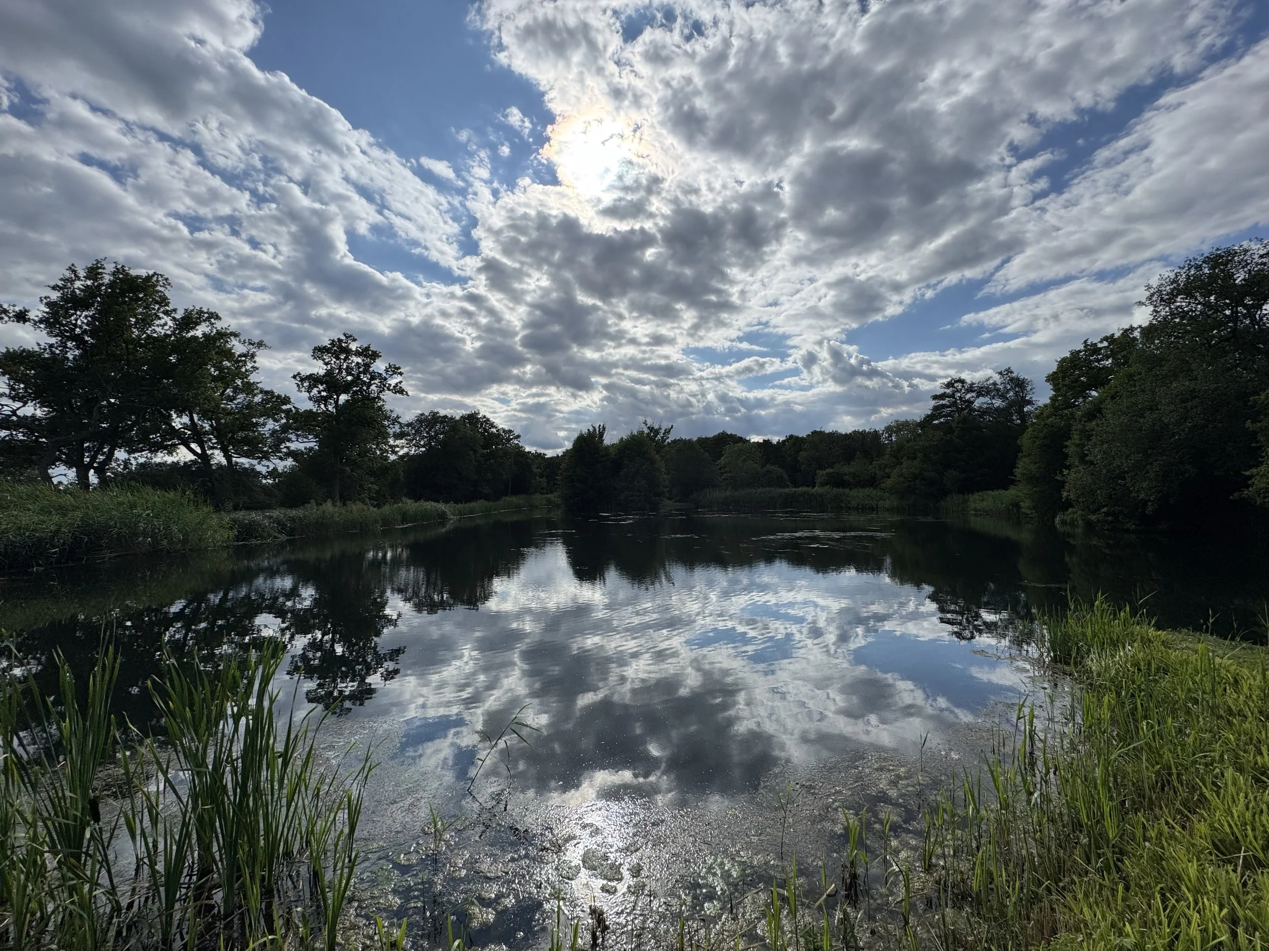 IMG_9502.jpeg