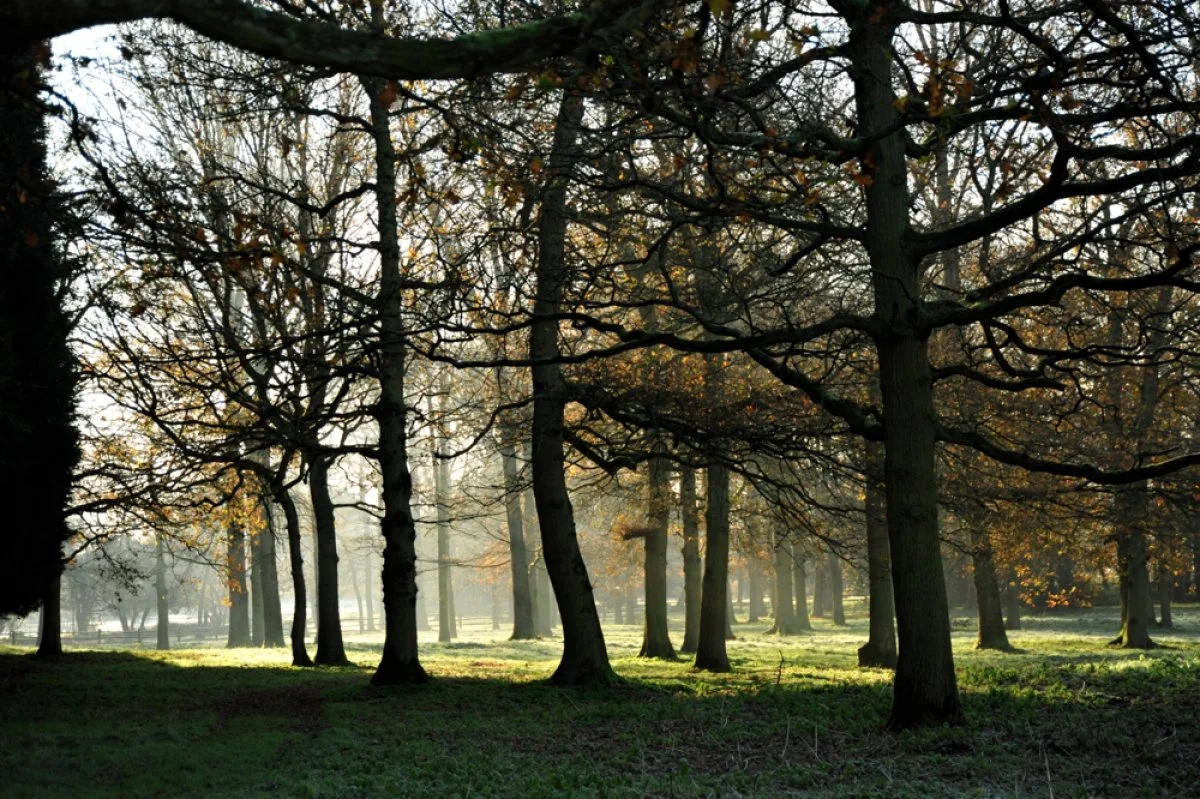 Goose Acre_DSC0862.jpeg