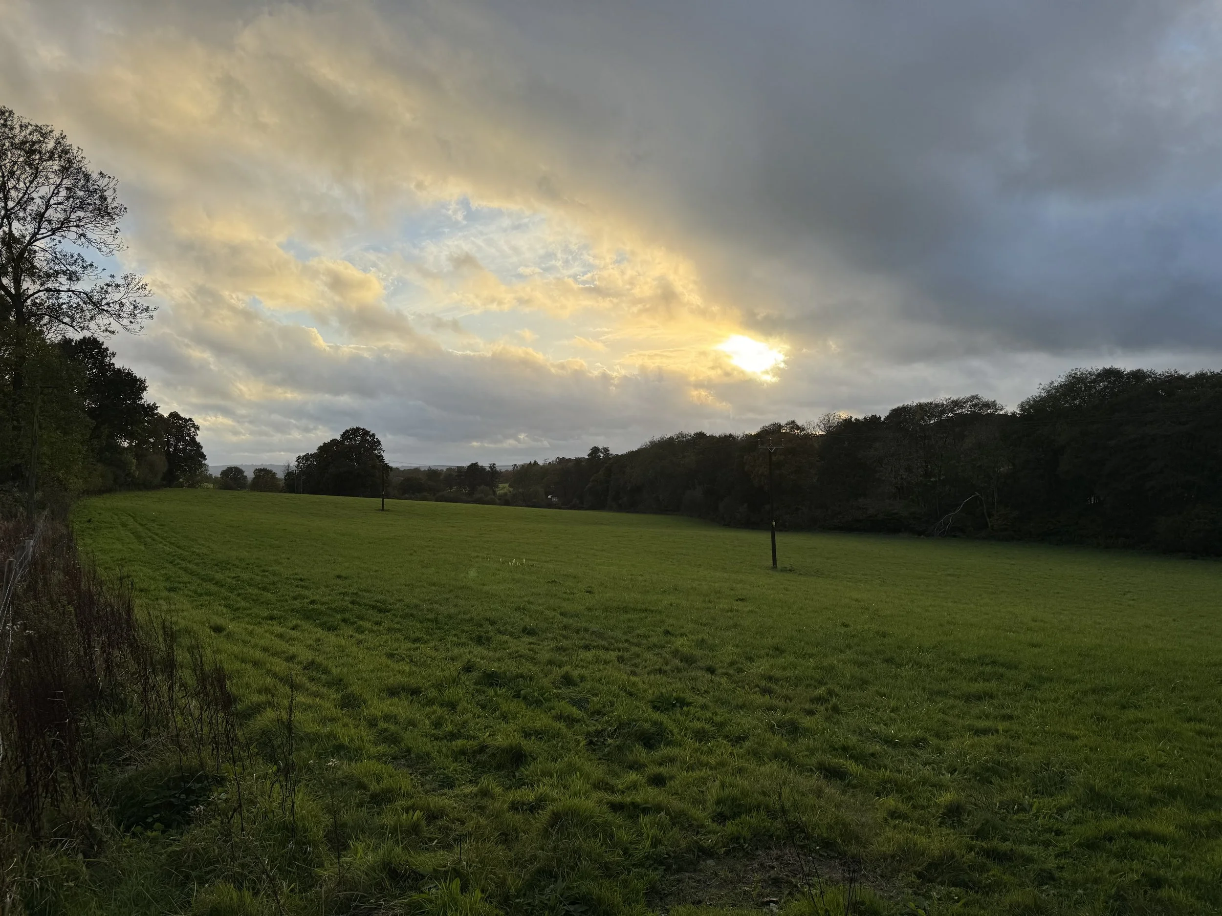 IMG_4938.jpeg