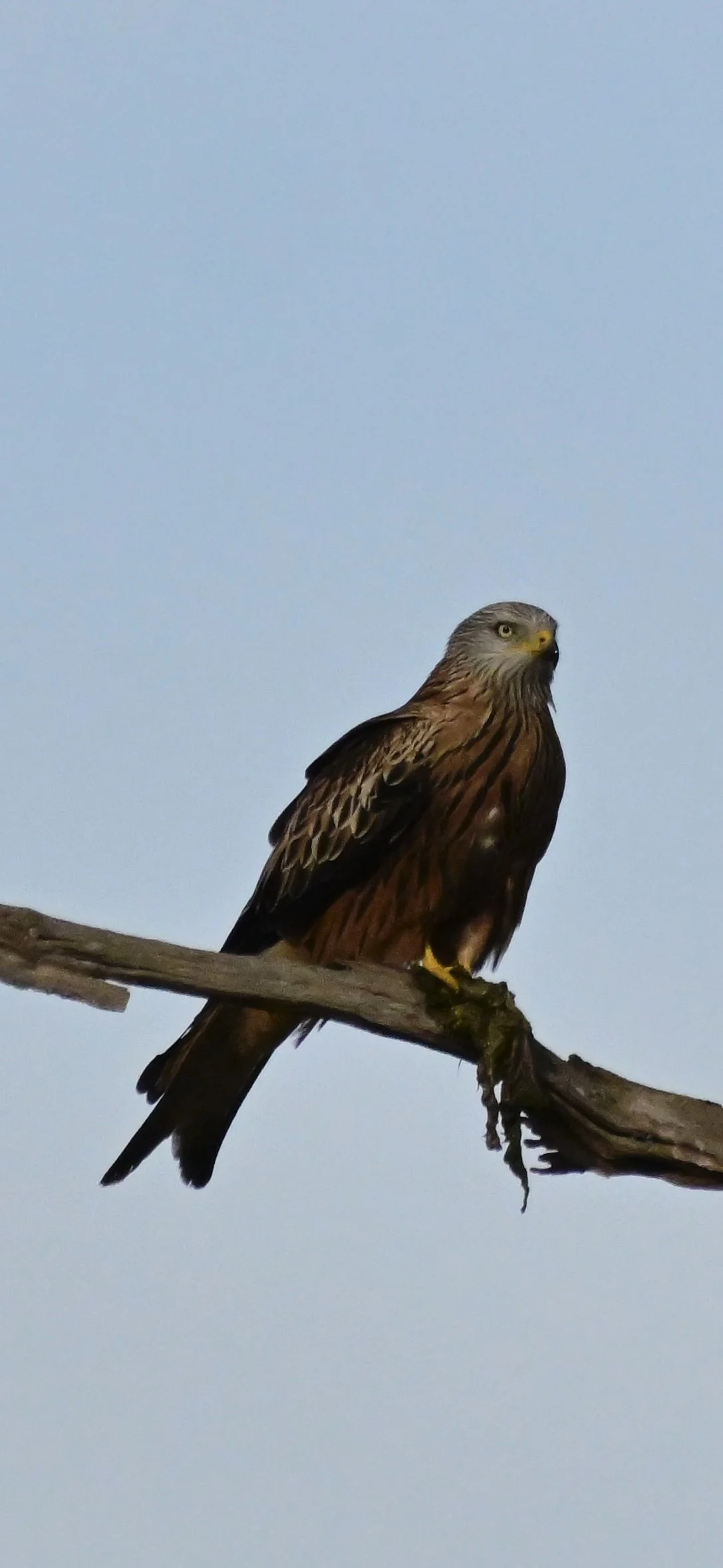 _DSC3189.jpeg