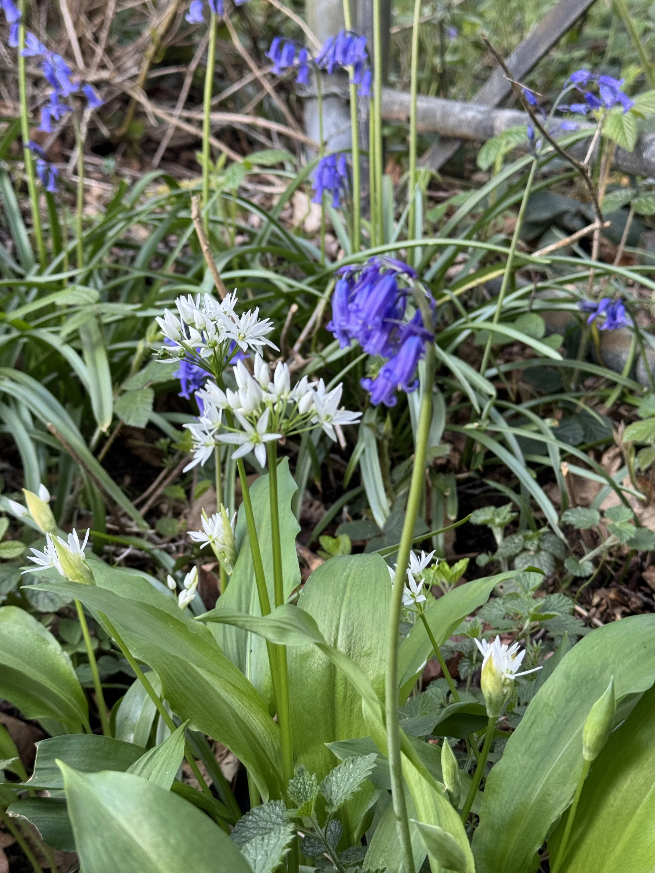IMG_7914.jpeg