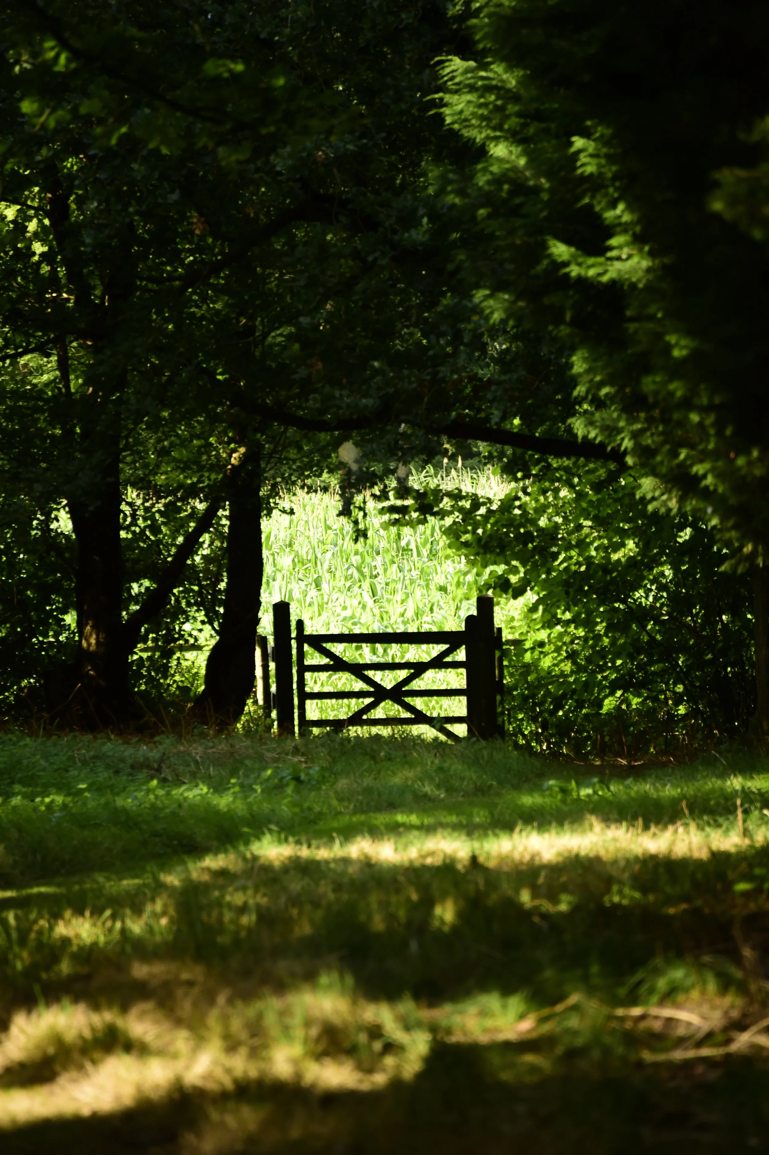 _DSC8788.JPG