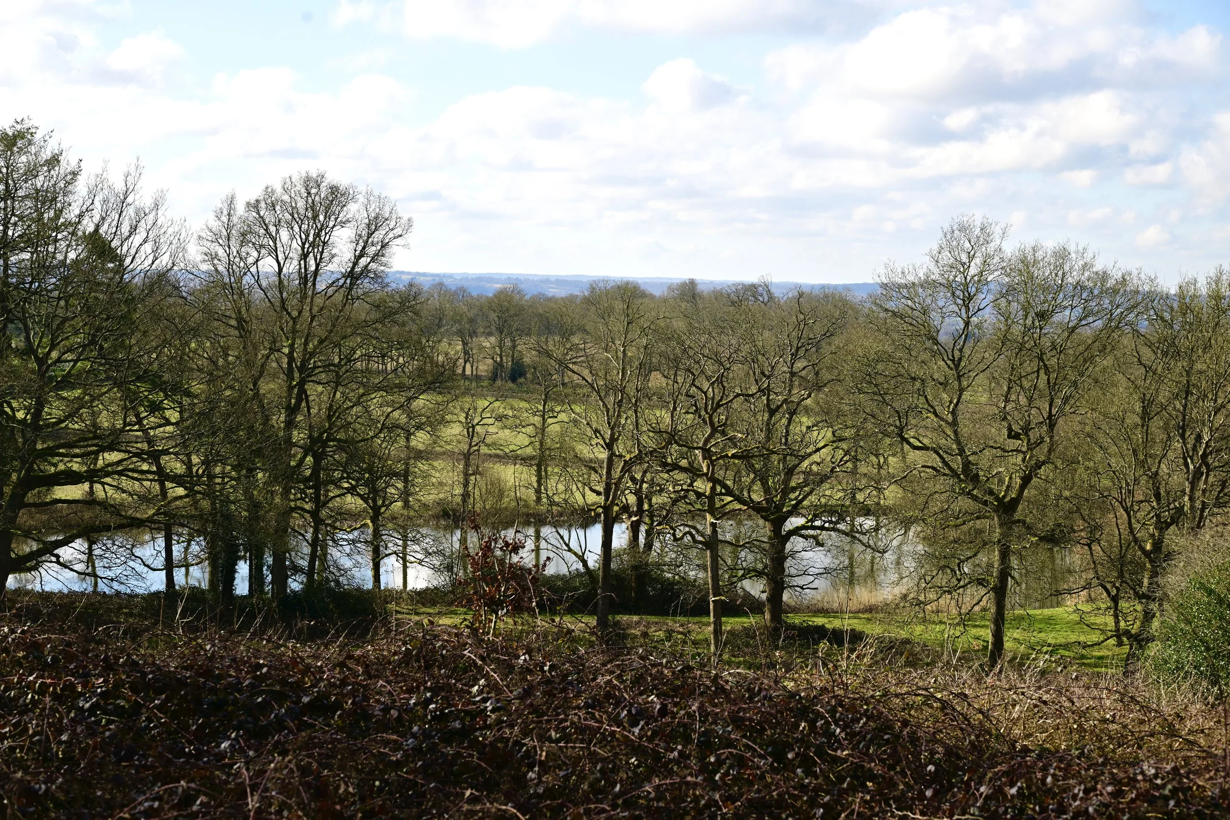_DSC3437.jpeg