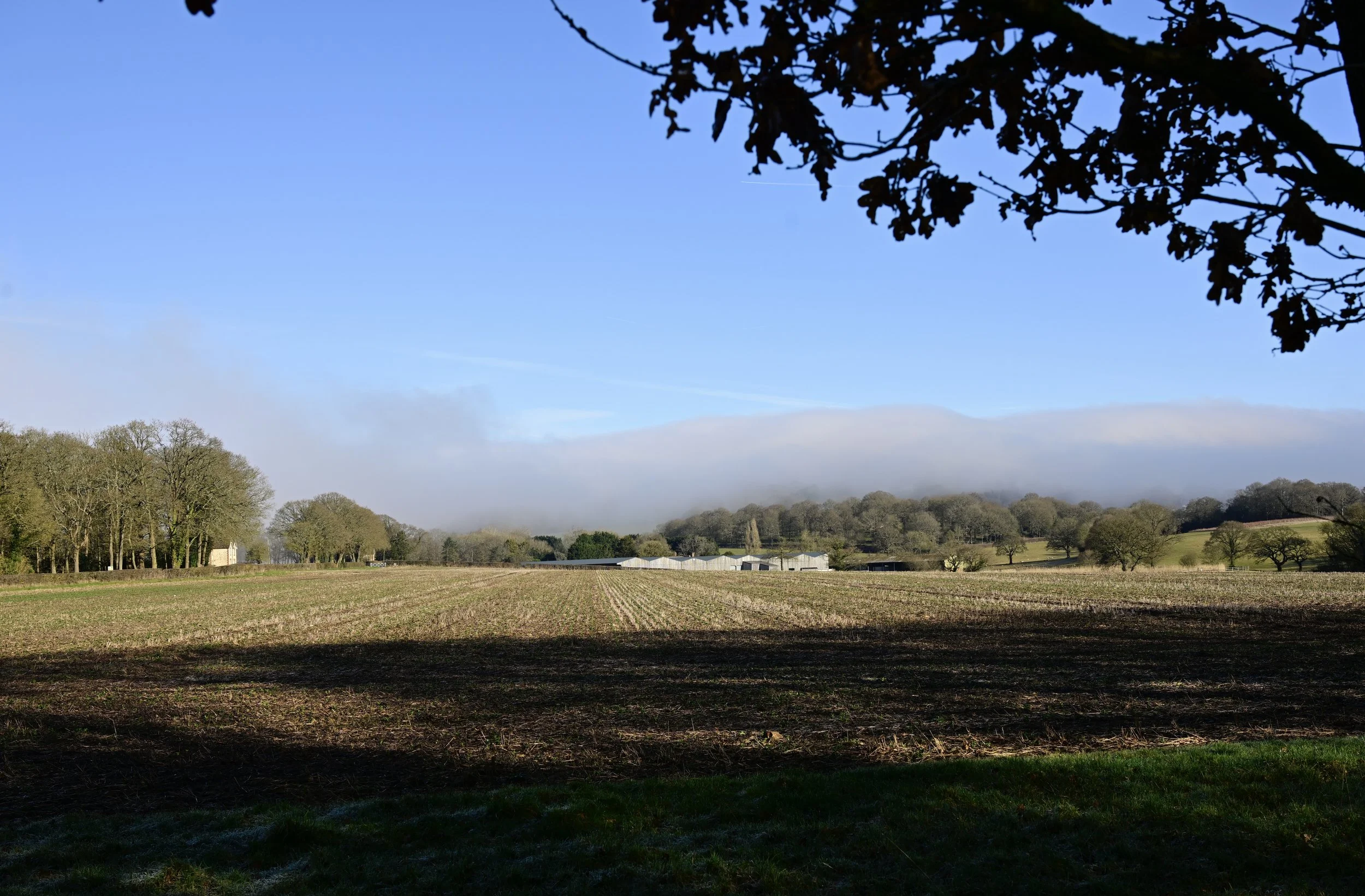 _DSC2967.jpeg