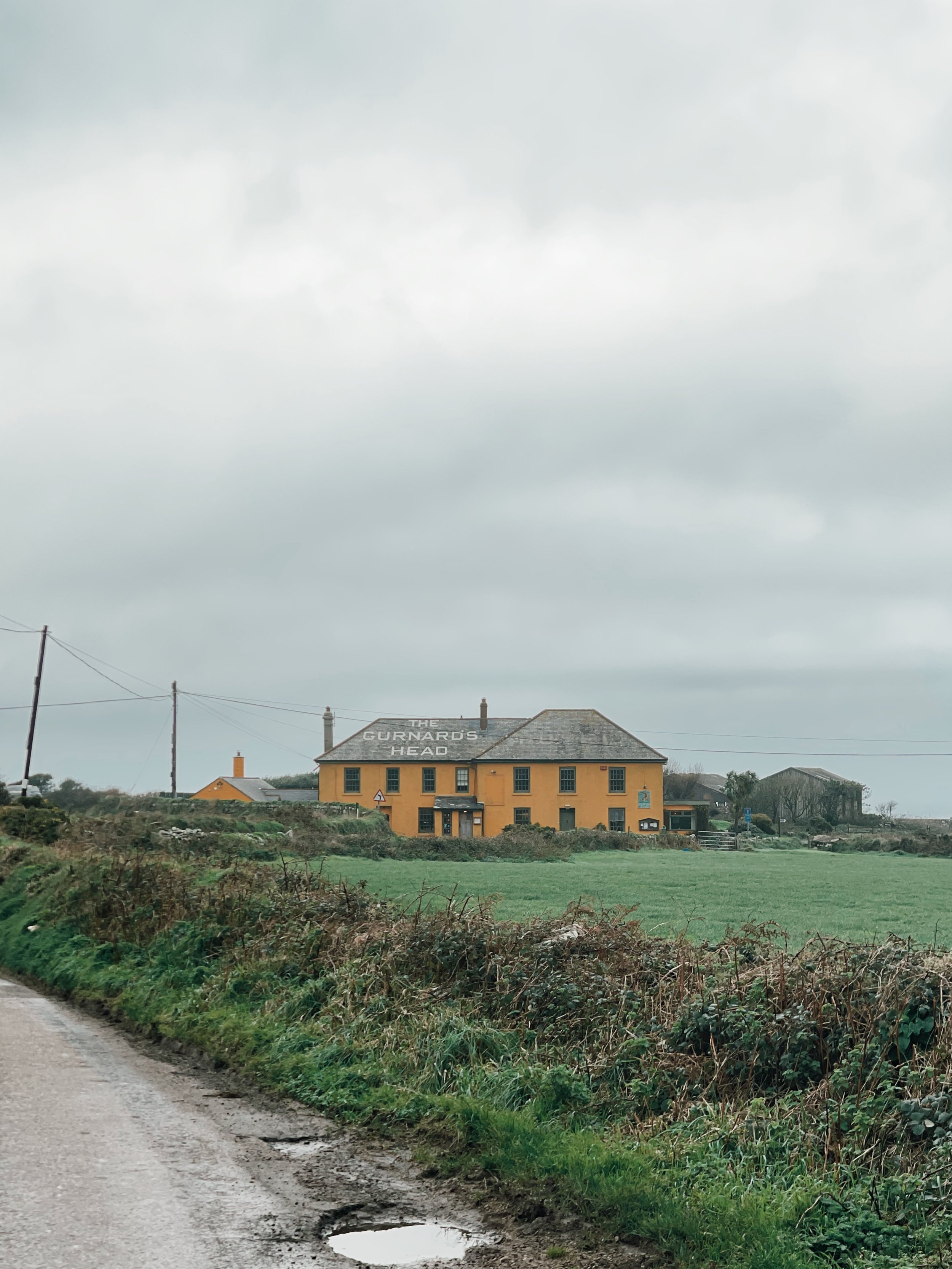 Gurnards head-1.JPG