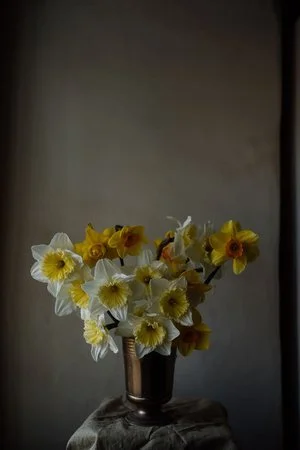 Daffodils (Copy)
