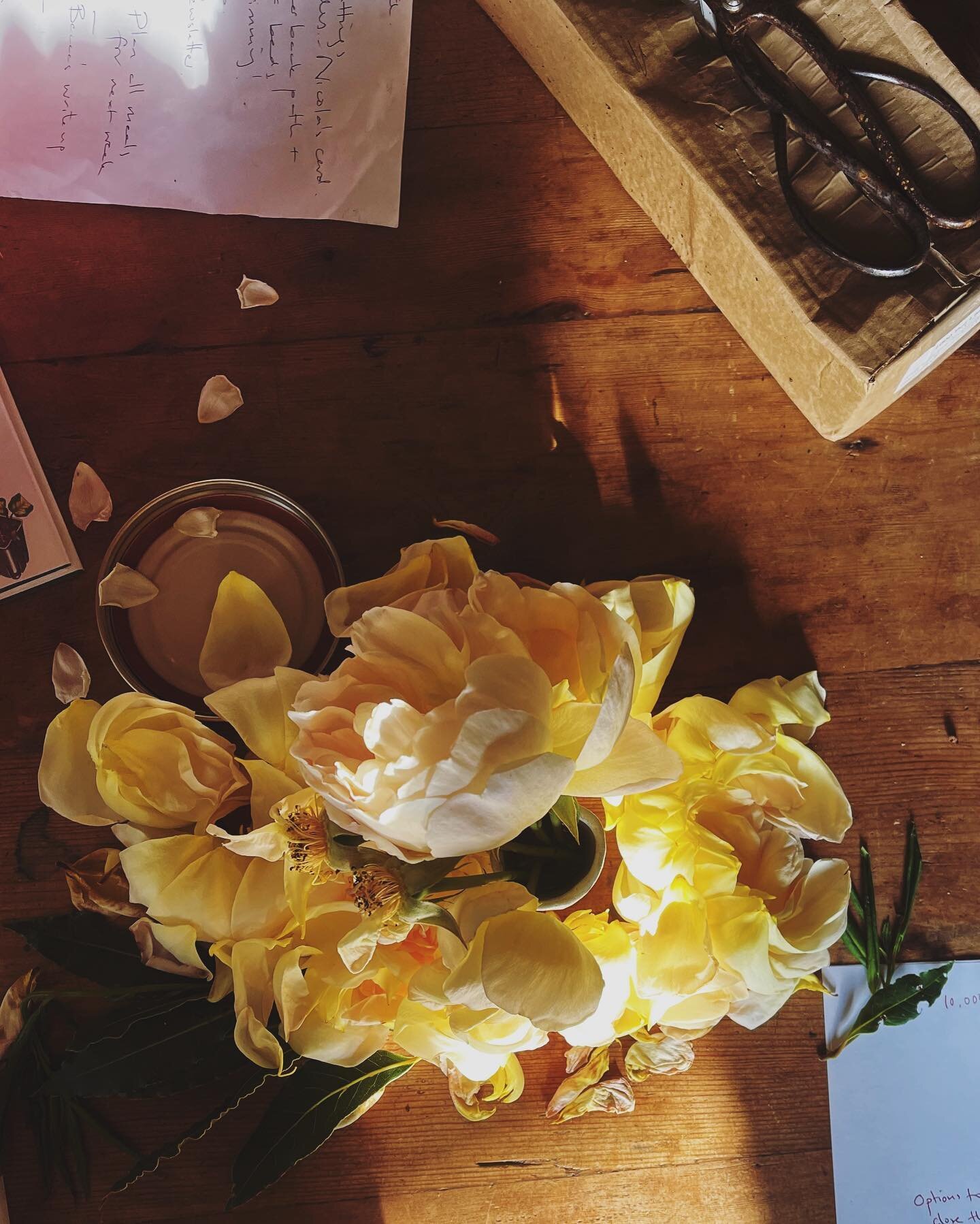 Kitchen table chaos. There are lists everywhere. I cropped this one a bit because otherwise you could read &lsquo;post on instagram consistently&rsquo; and it all felt a bit meta. In the philosophical sense obviously; I&rsquo;m not intending to theme