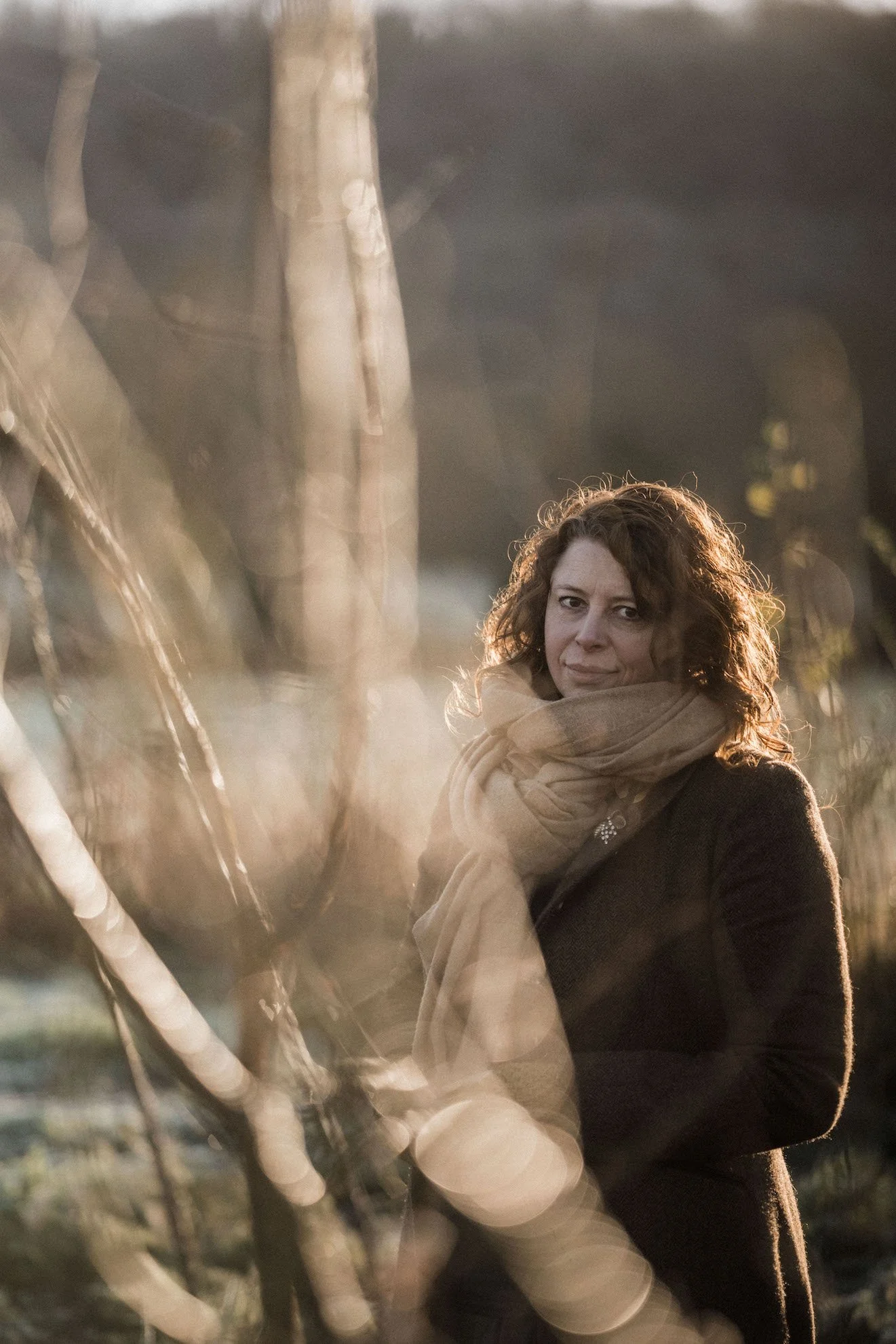 Plant Amaryllis for Christmas