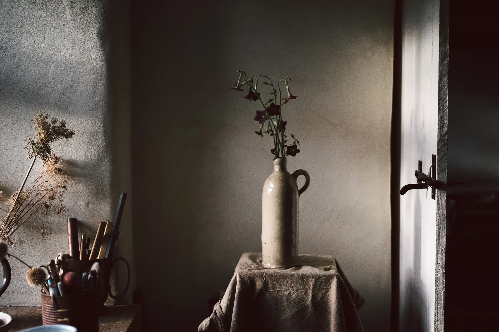 Sowing half-hardy annuals