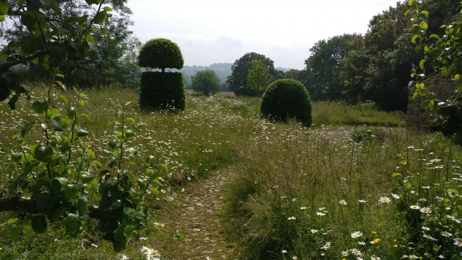 Derby Day hedge trimming