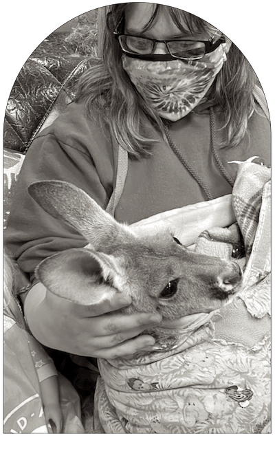 woman holding a baby kangaroo