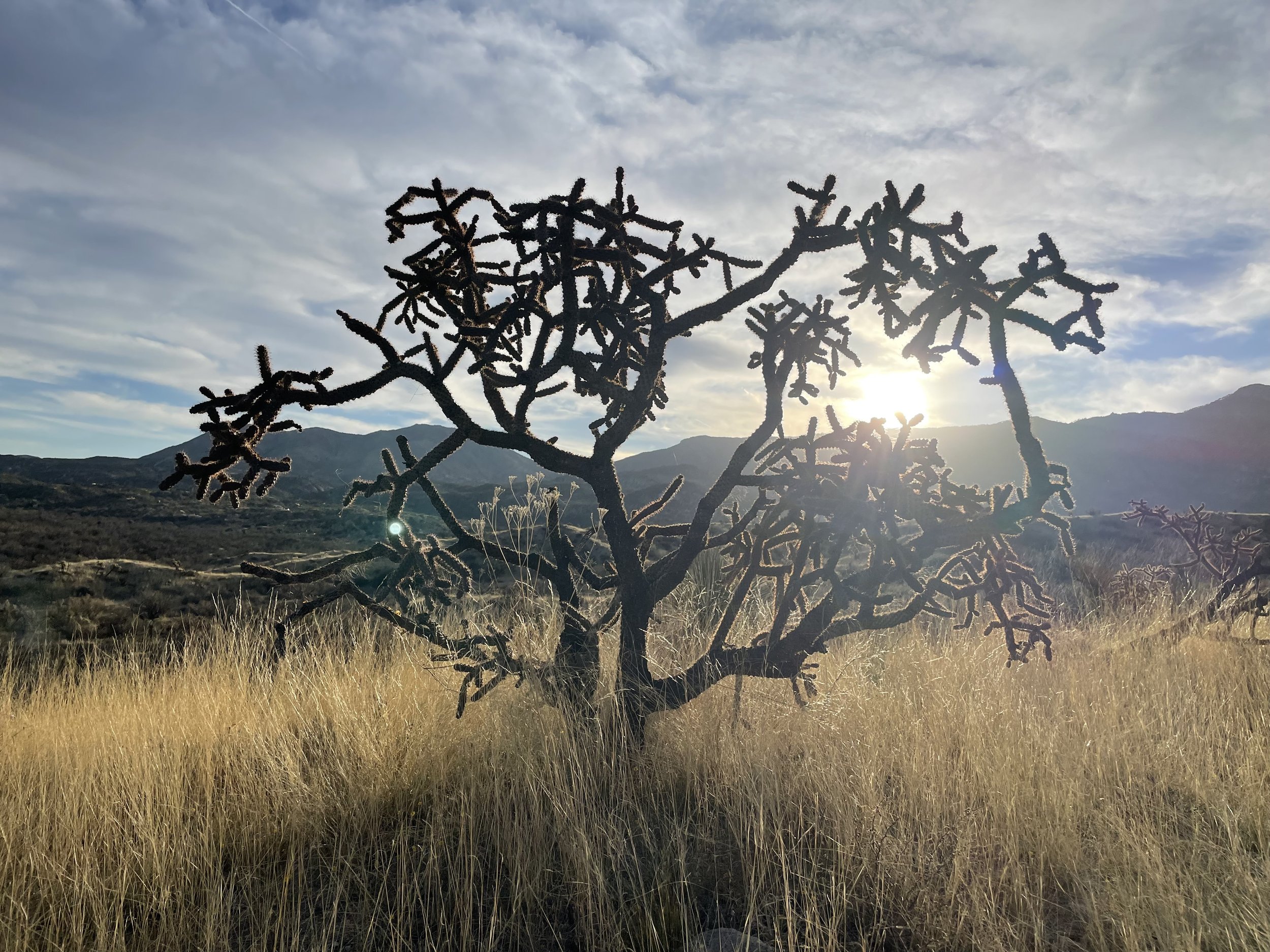 Finding My Way: When Business Meets the Soul