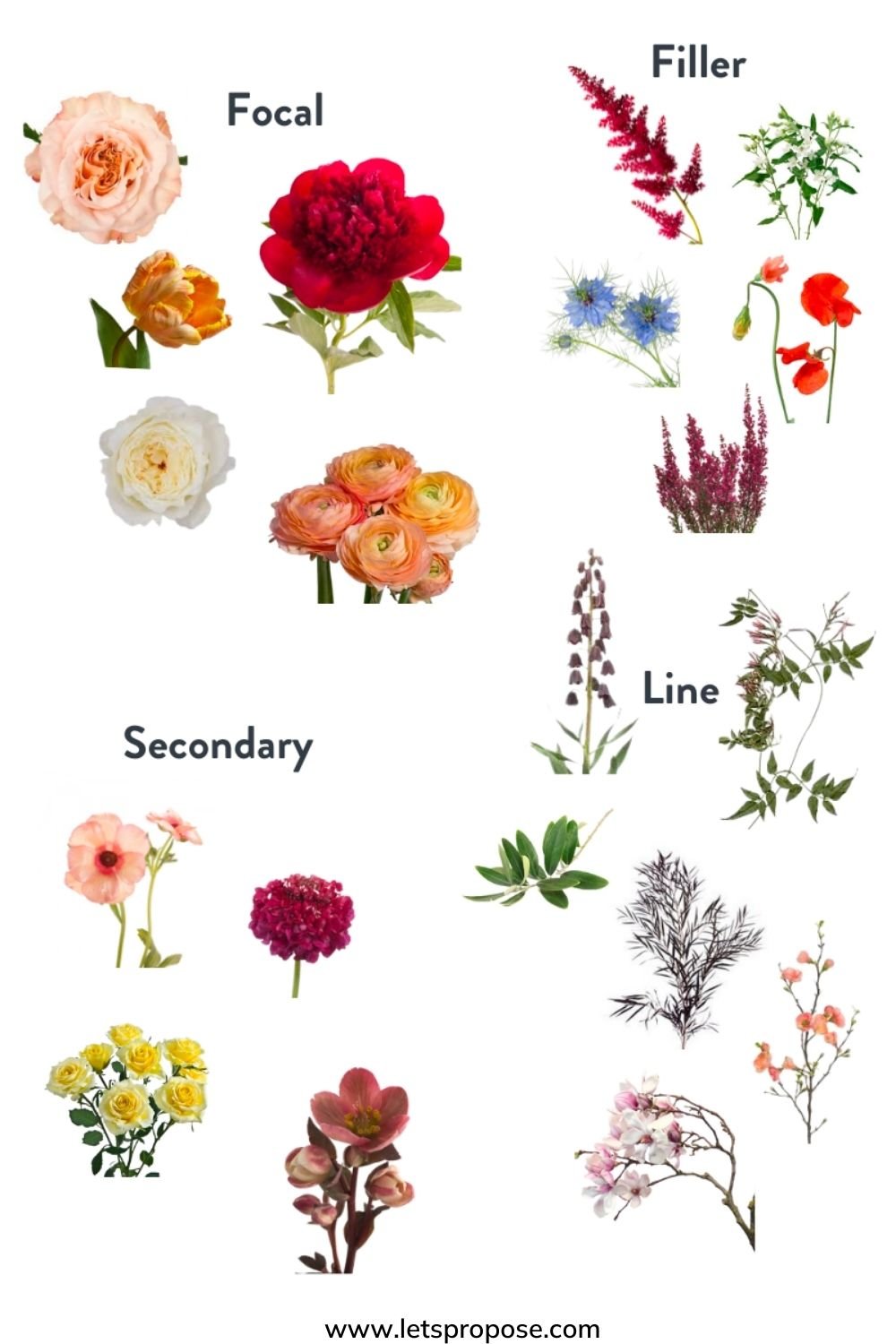 The Anatomy of a Bouquet — Let's Propose!
