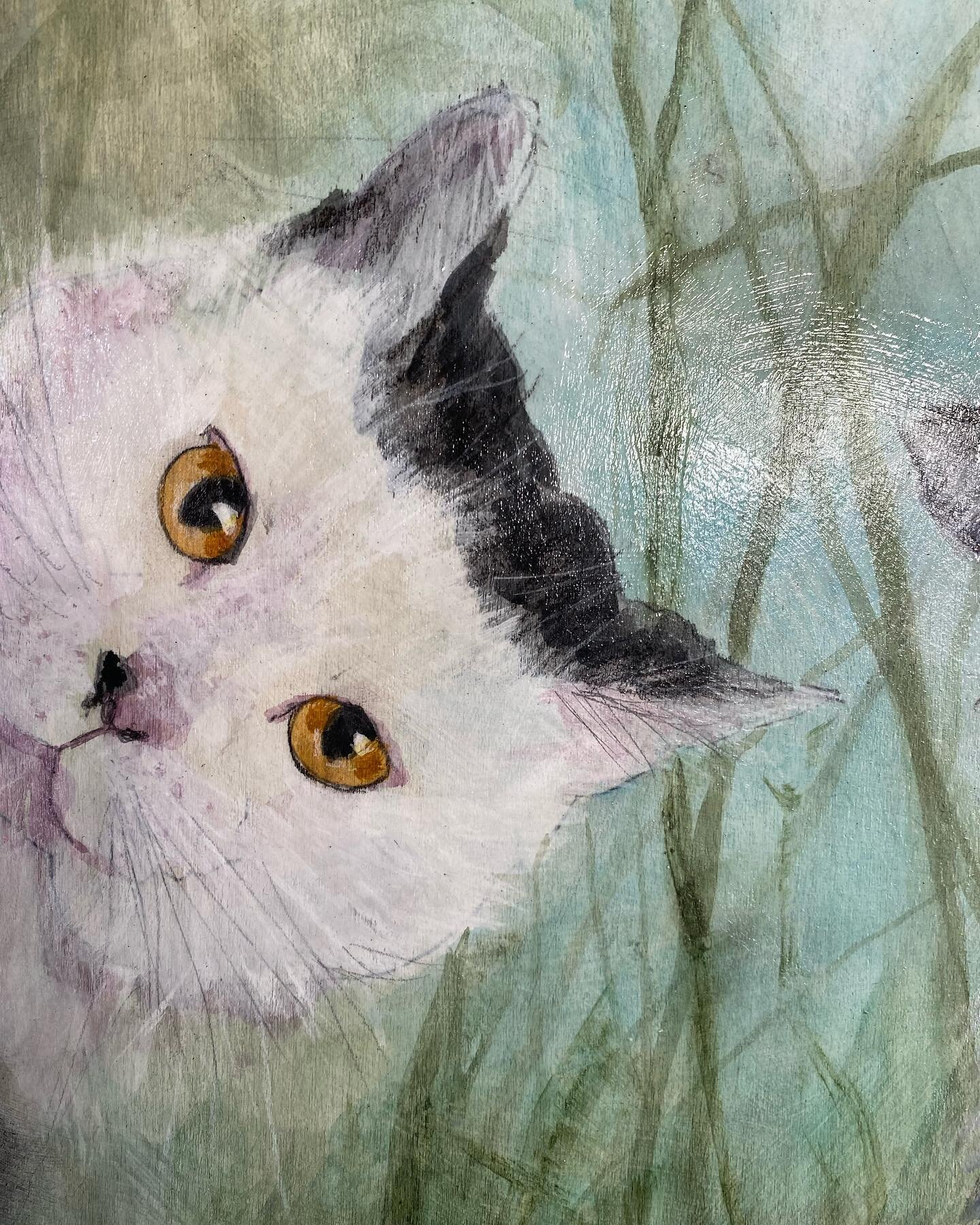 &lsquo;Where&rsquo;s my Breakfast?!&rsquo; Watercolor, charcoal and acrylic on panel - Christmas commission finished today - I love the part where you paint the little highlight in the eyes and they completely come to life! 😻😻🎅🏻🎁 meow!!! 

#petp