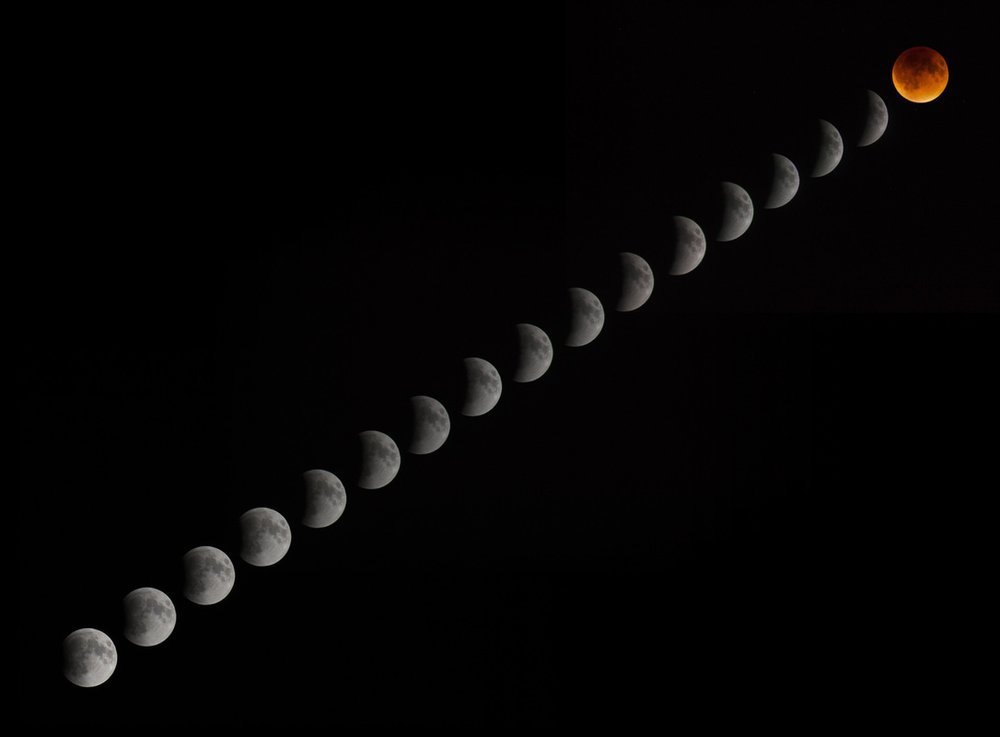 3809946_orig+copy.jpg