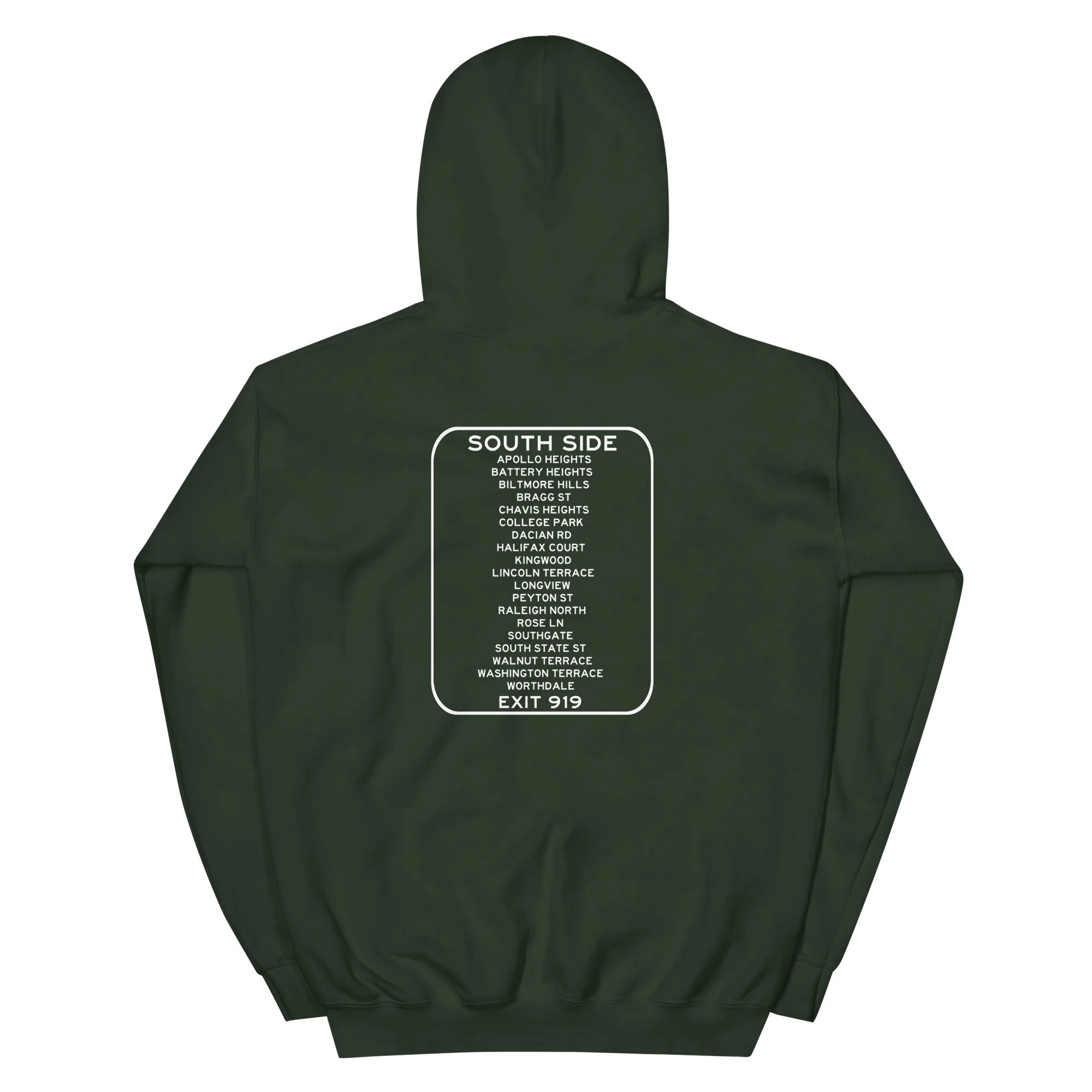 unisex-heavy-blend-hoodie-forest-green-back-6959c5e1833a4.jpg