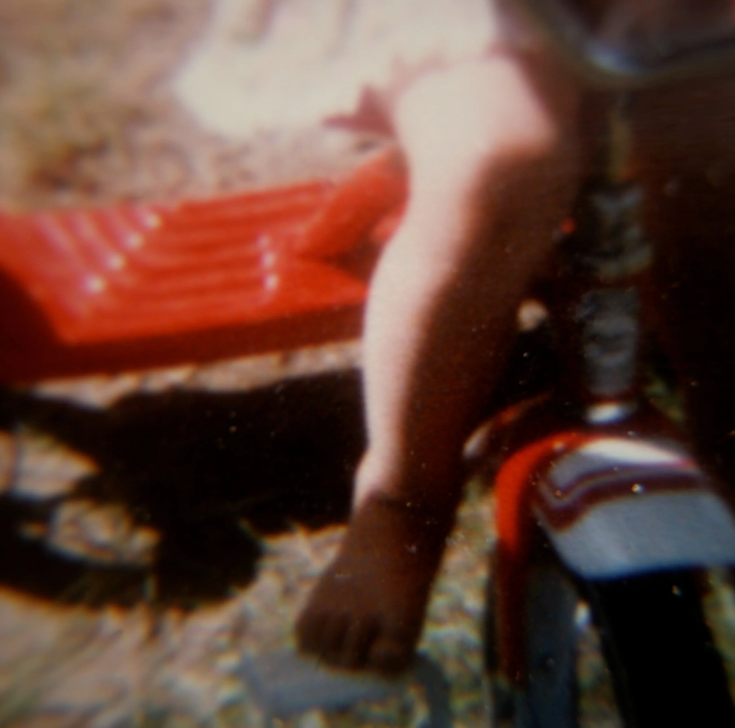 bikenleg (2).jpg