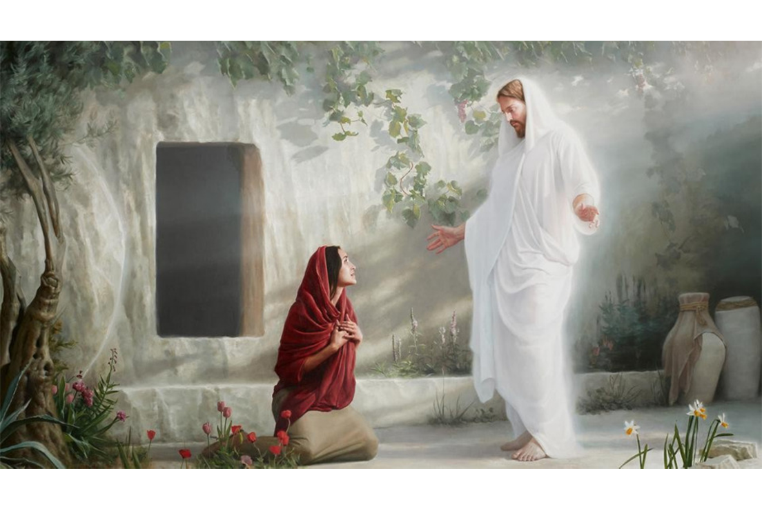 Activities — NSL Legacy Stake Youth