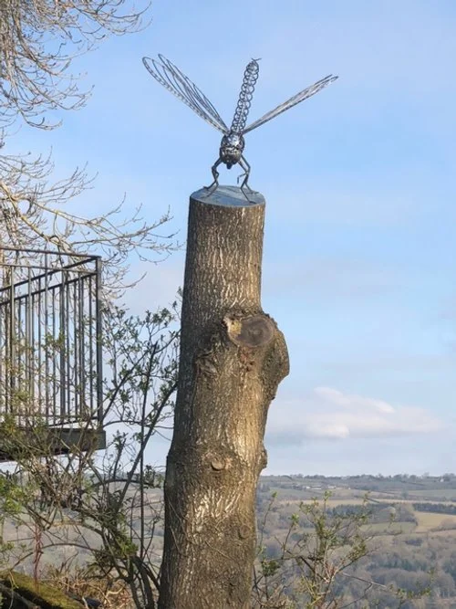 Dragonfly Forge Images April 2025 - 16.jpeg