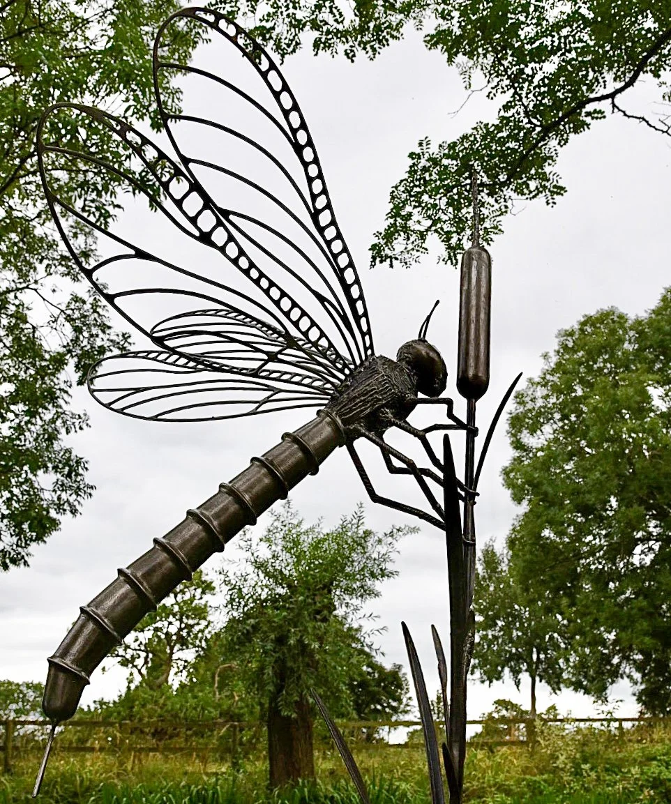Dragonfly_Forge_02.jpg