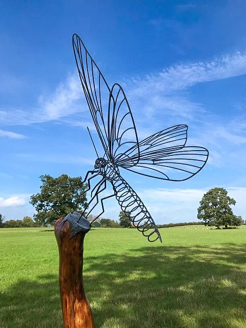 Dragonfly Forge Images January 2024 06.jpg