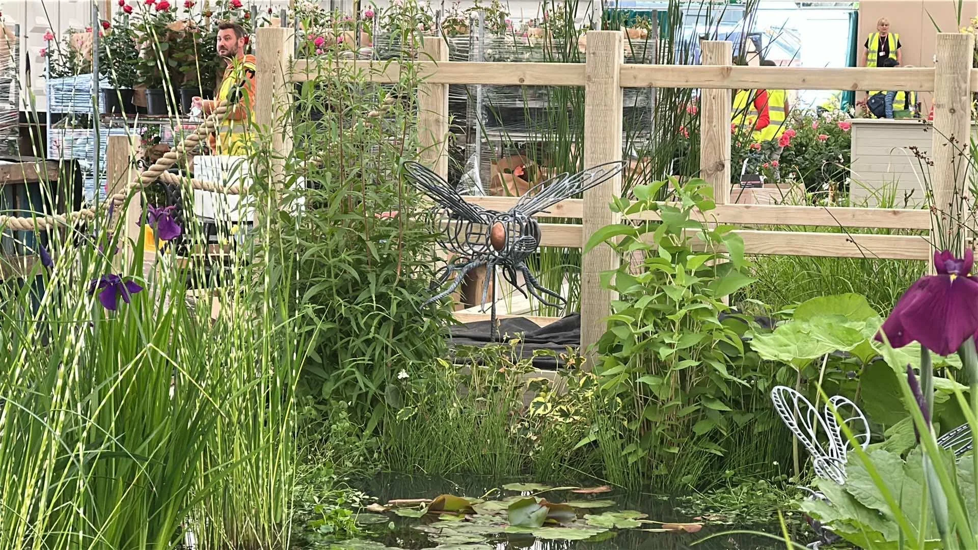 DFG on Lincolnshire Ponds at RHS Chelsea 2025 - 3.JPEG