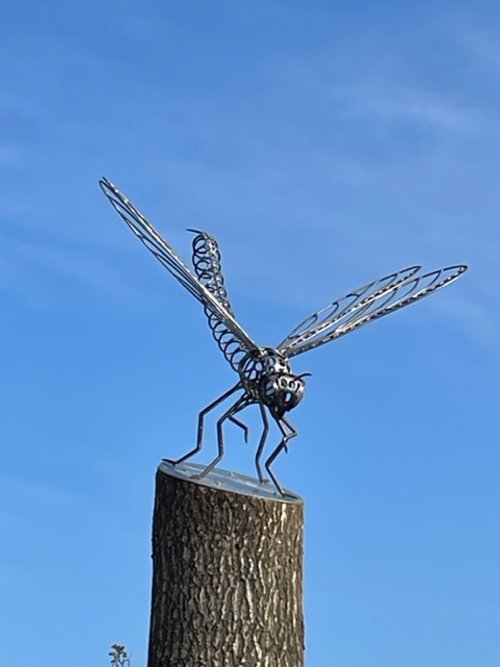 Dragonfly Forge Images April 2025 - 18.jpeg